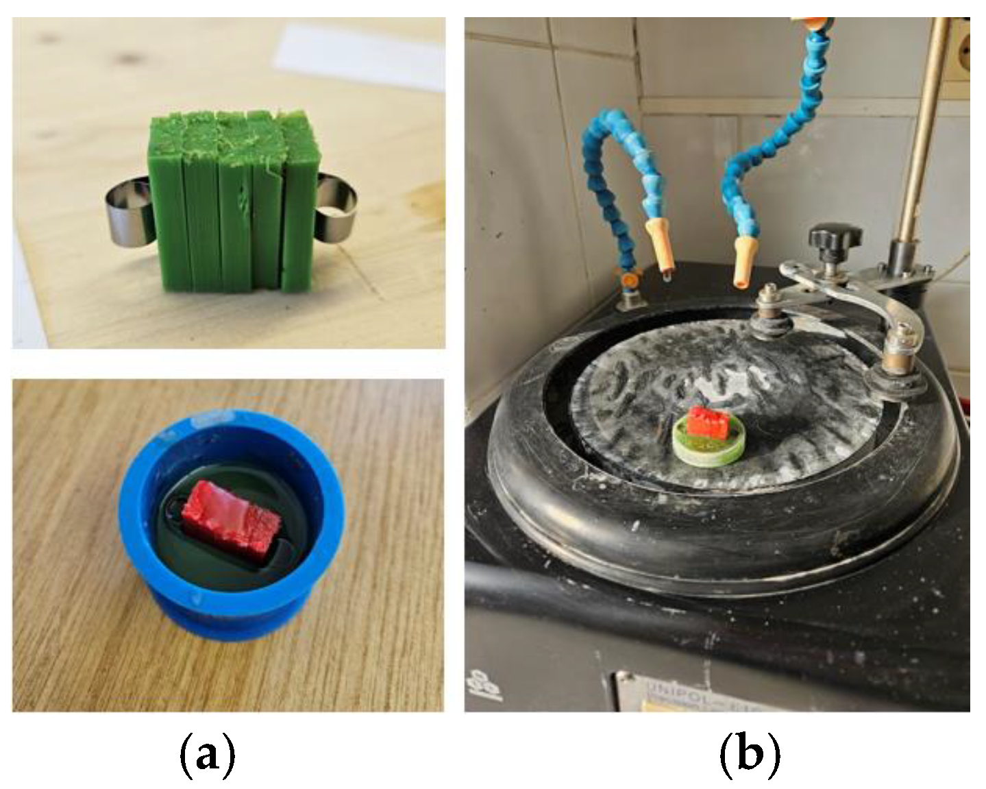 Preprints 182505 g002