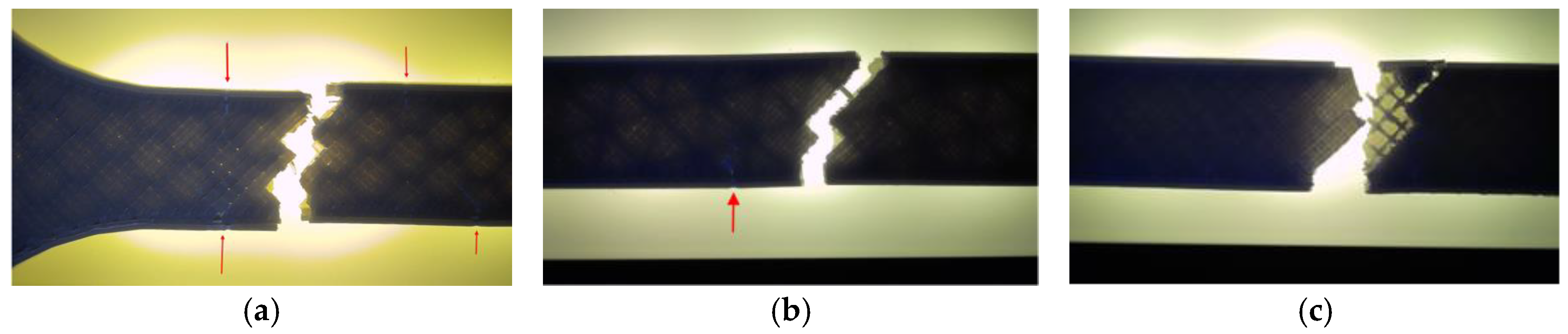 Preprints 182505 g005