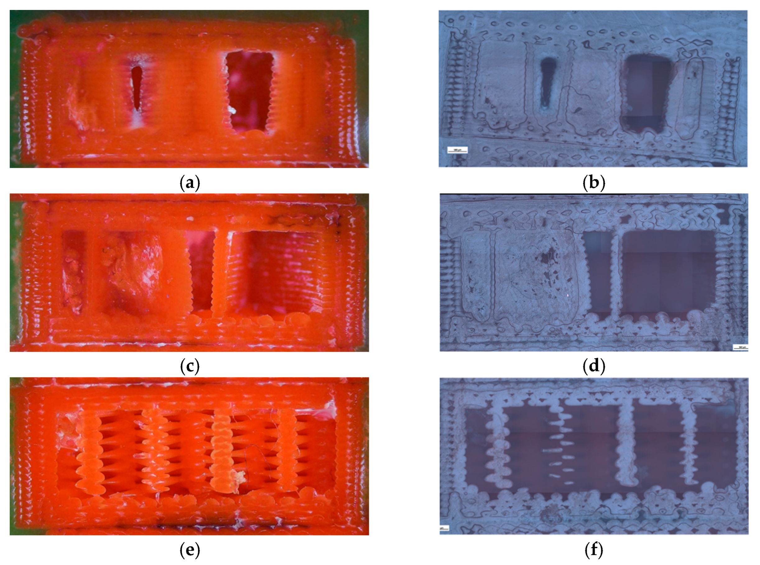 Preprints 182505 g006