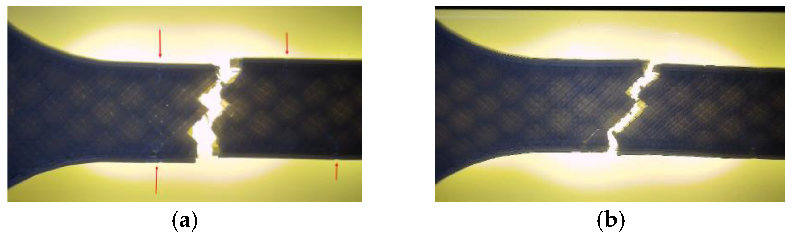 Preprints 182505 g015