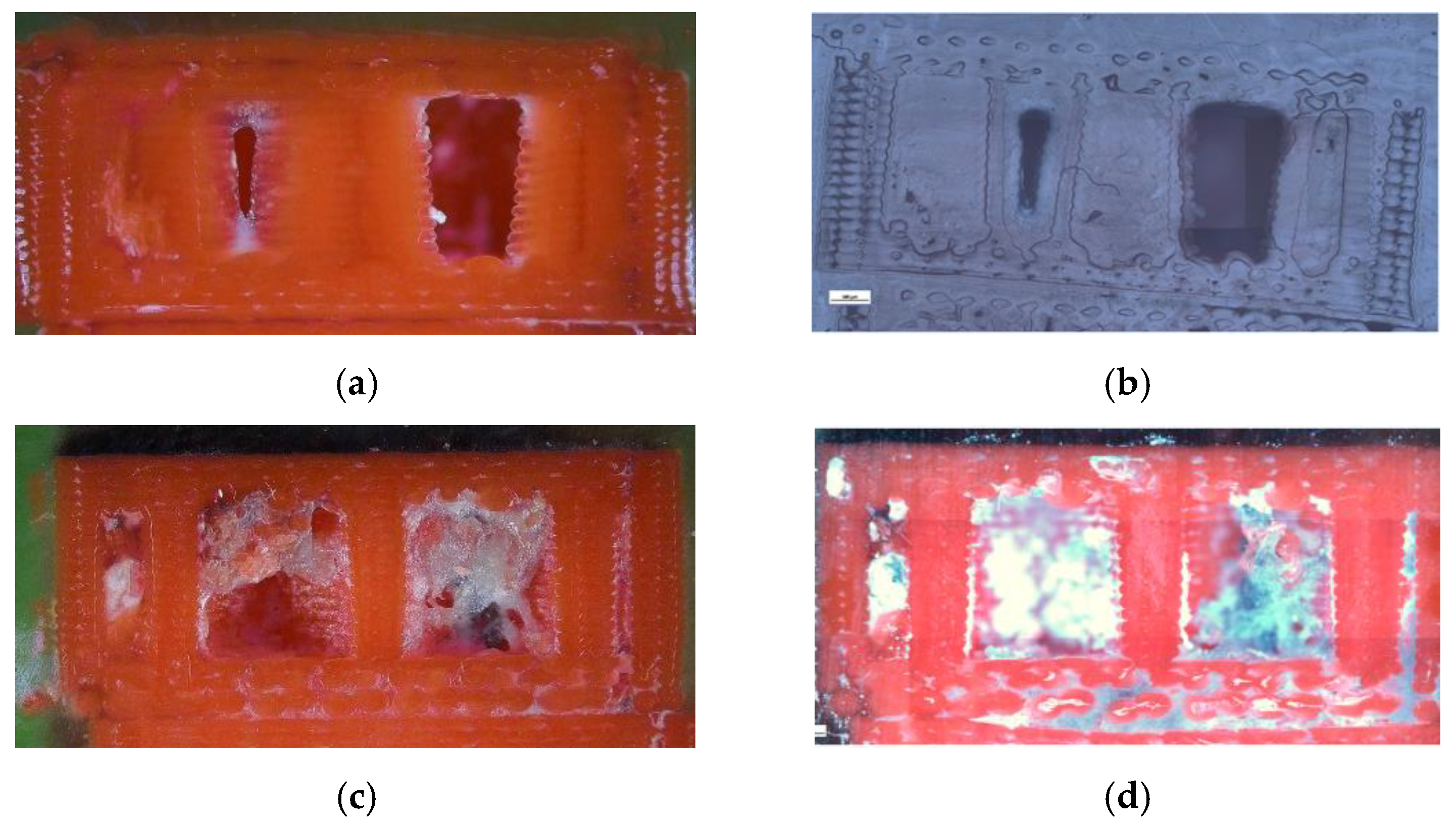 Preprints 182505 g016