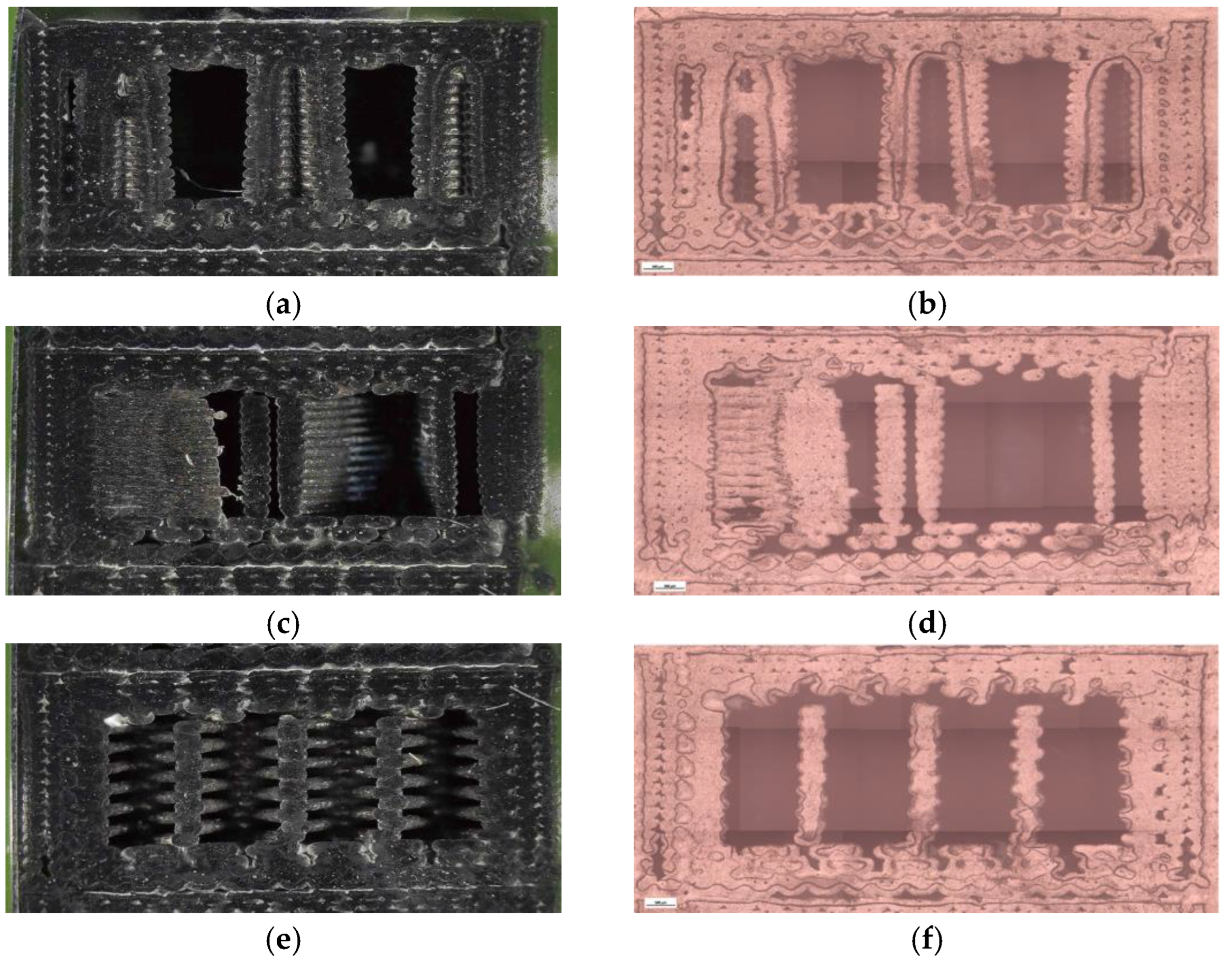 Preprints 182505 g021