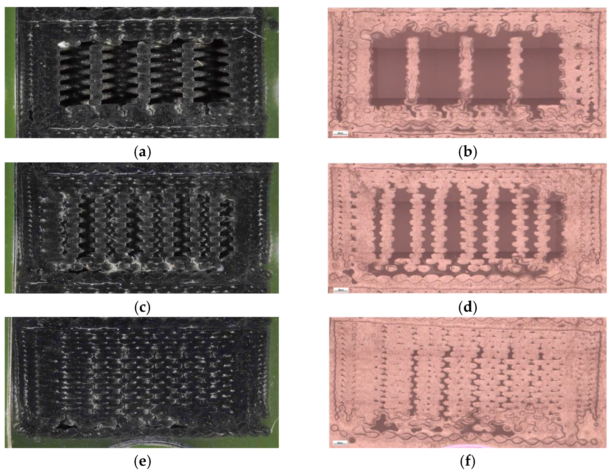Preprints 182505 g026