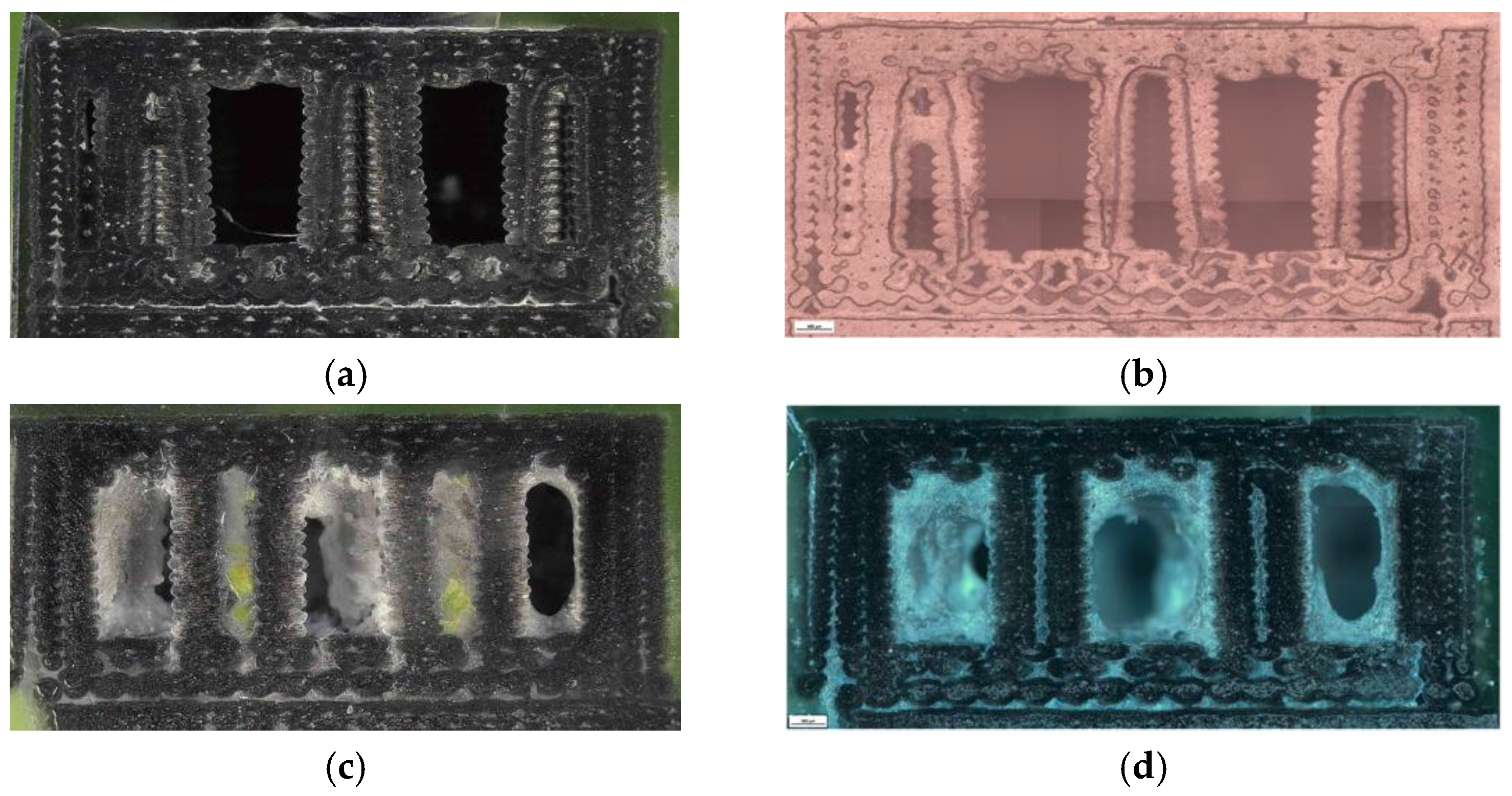 Preprints 182505 g031