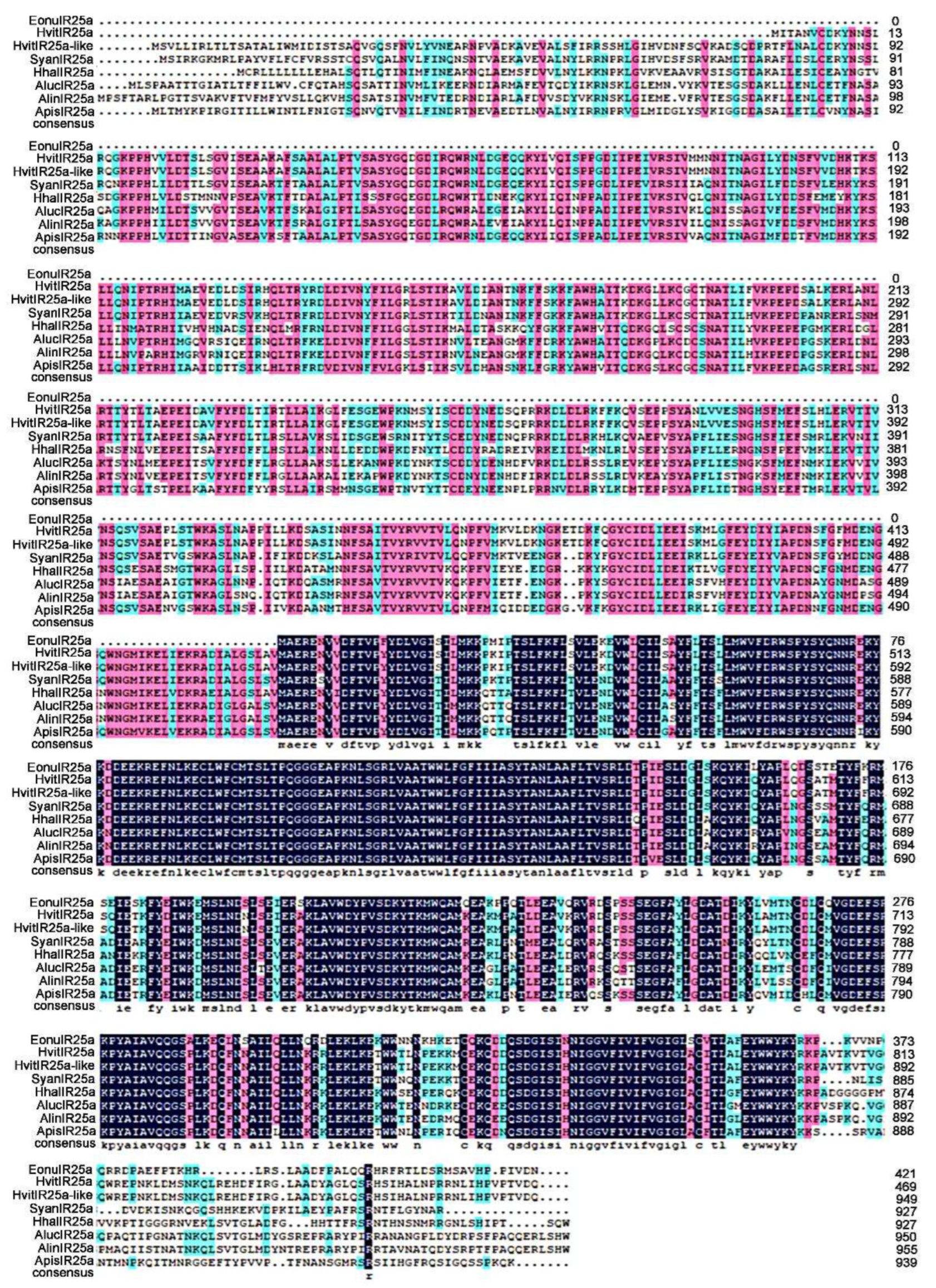 Preprints 72684 g003