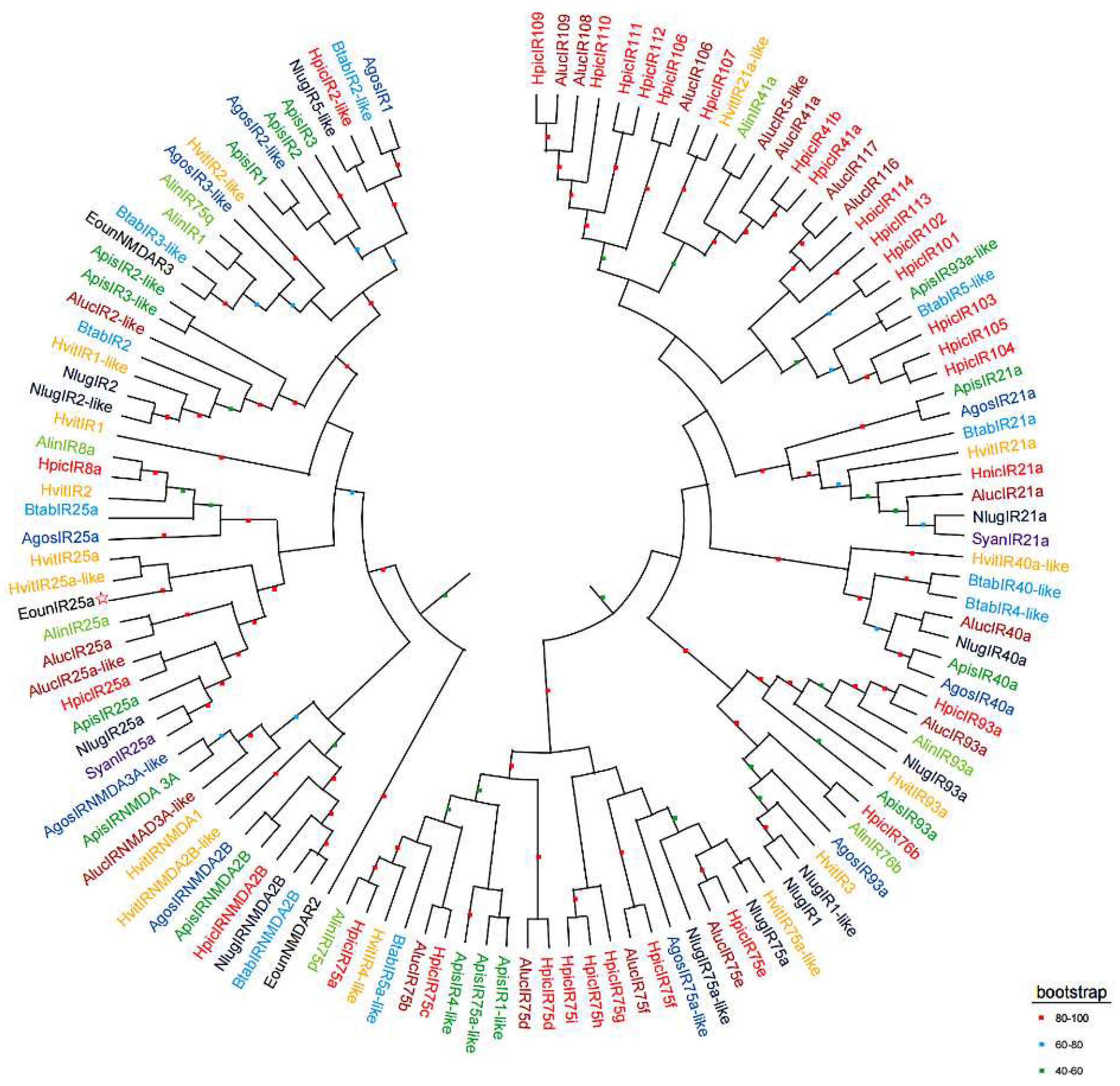 Preprints 72684 g004