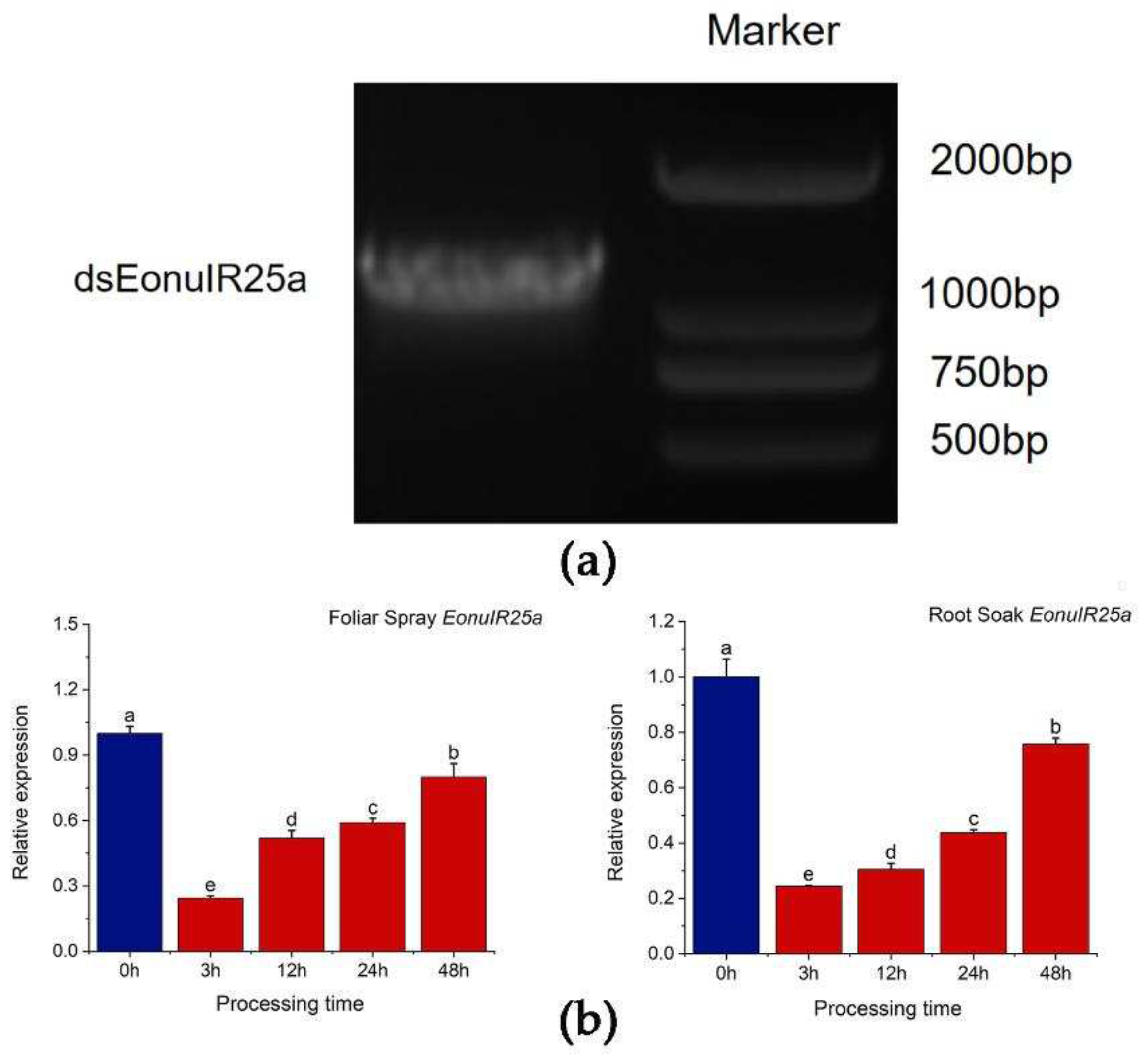 Preprints 72684 g007