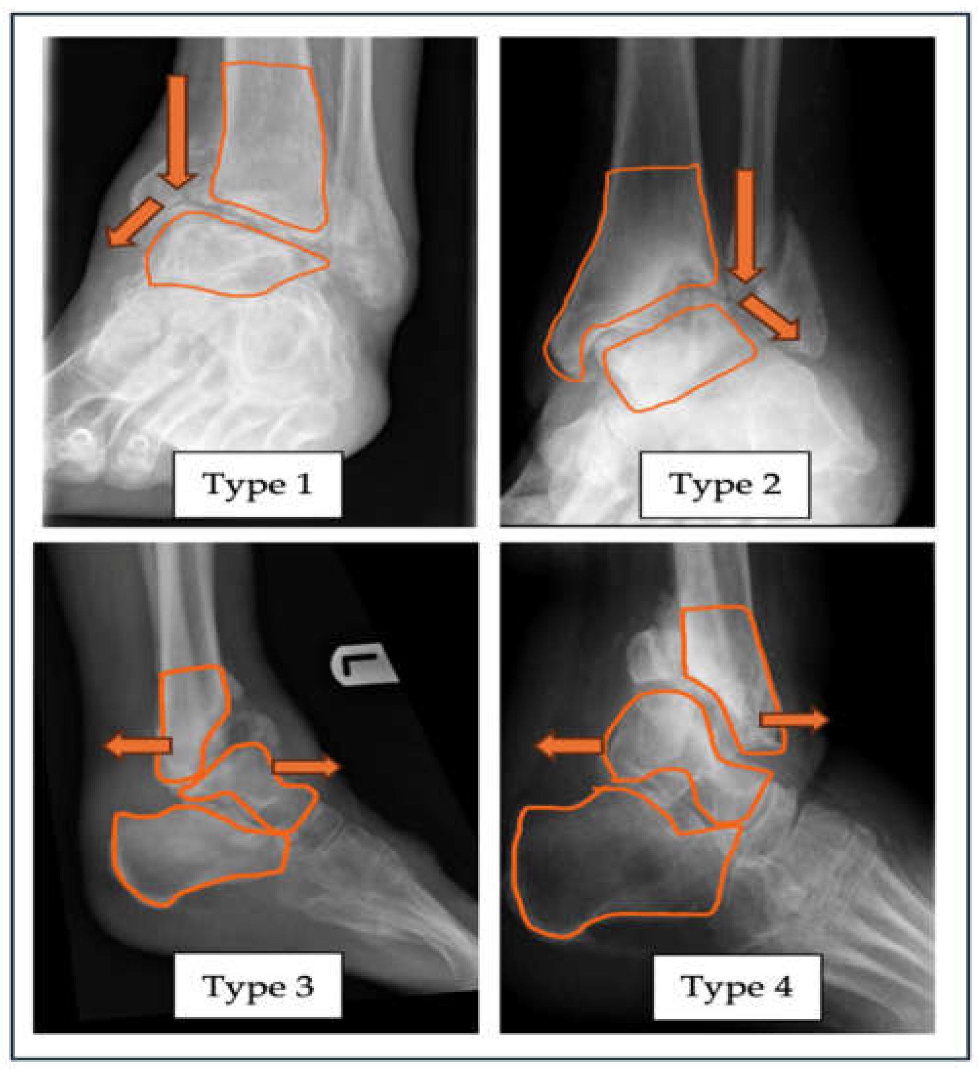 Preprints 144460 g001