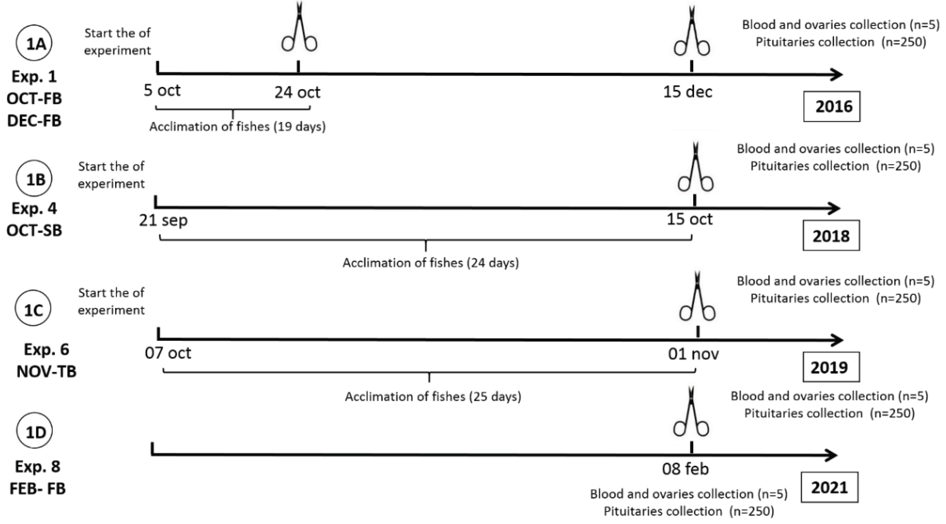 Preprints 178230 g001