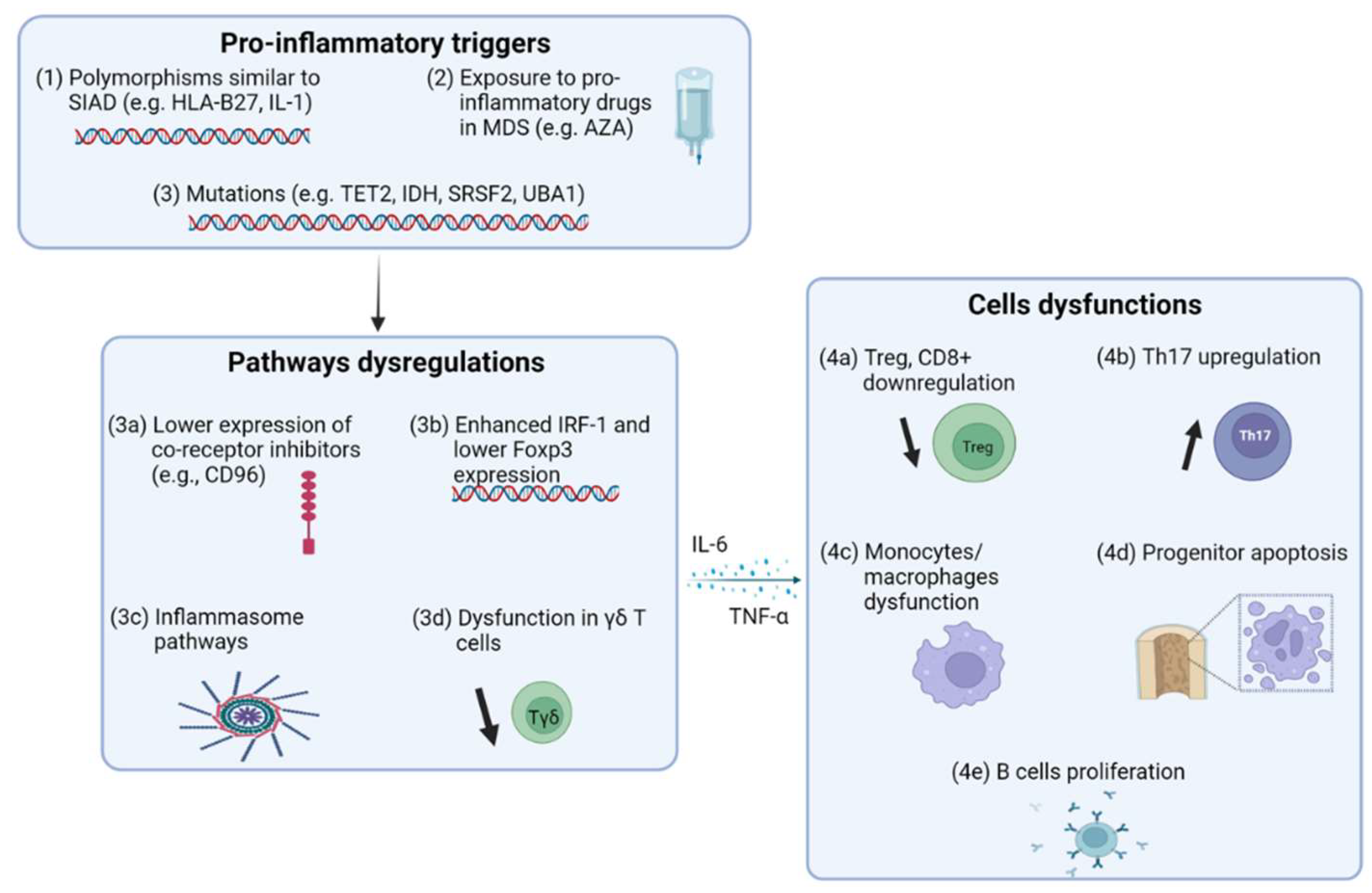 Preprints 120565 g001