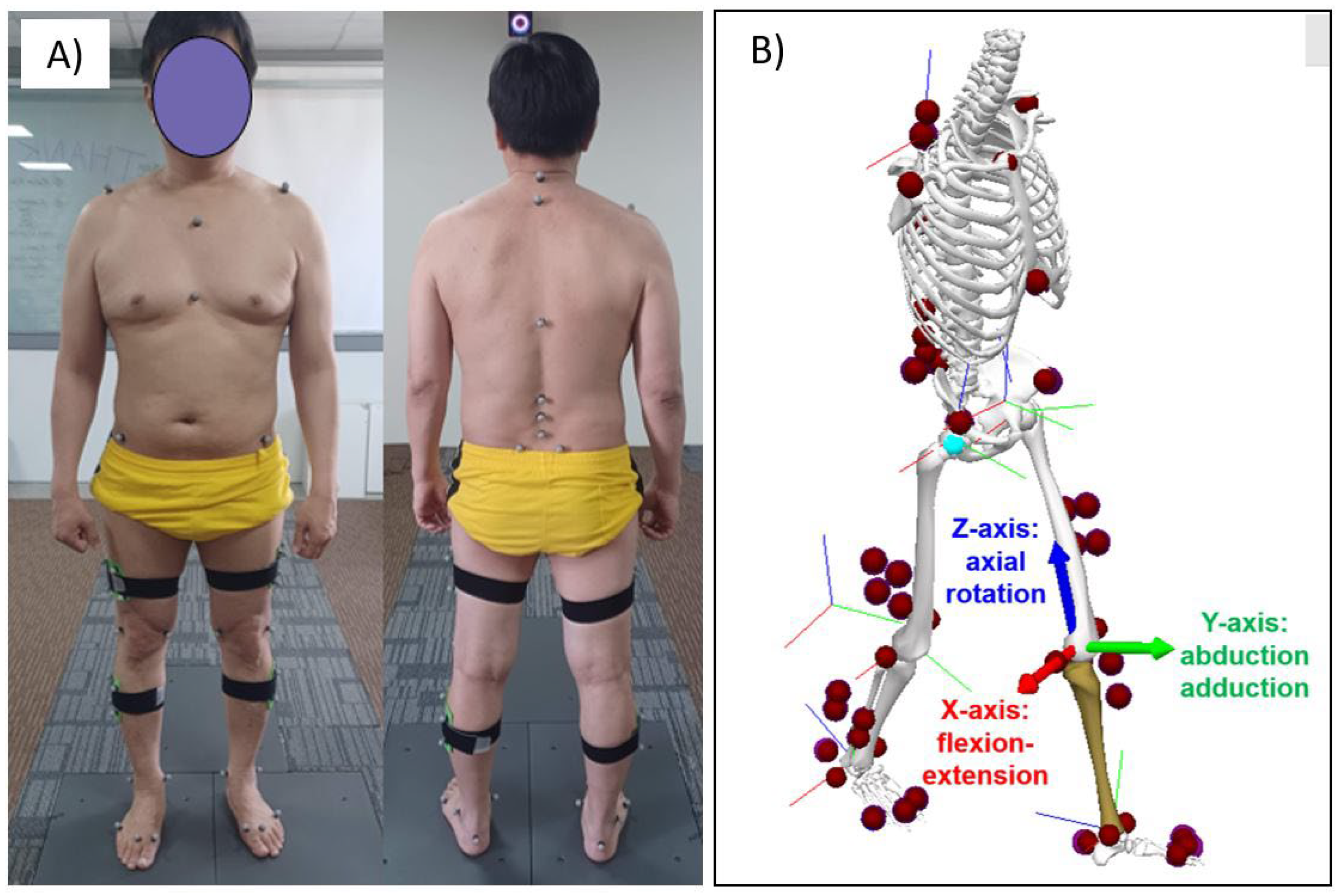 Preprints 141005 g001