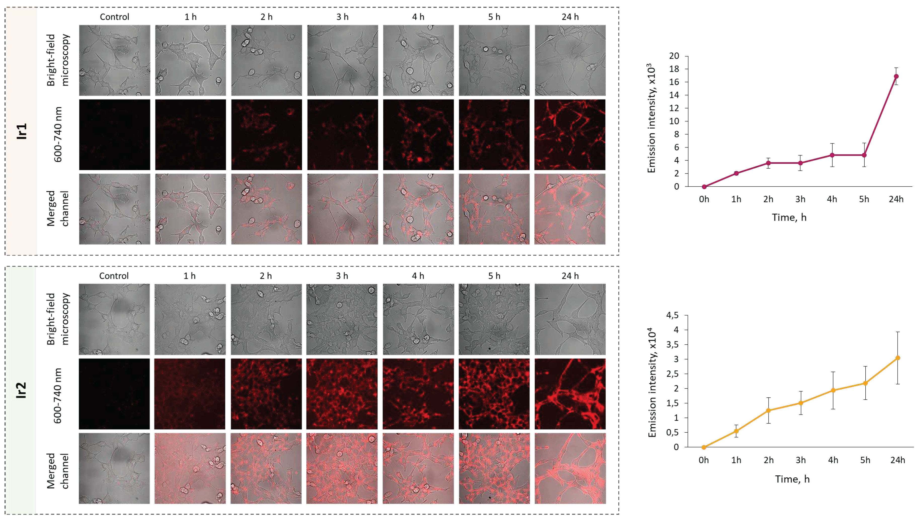 Preprints 73318 g006