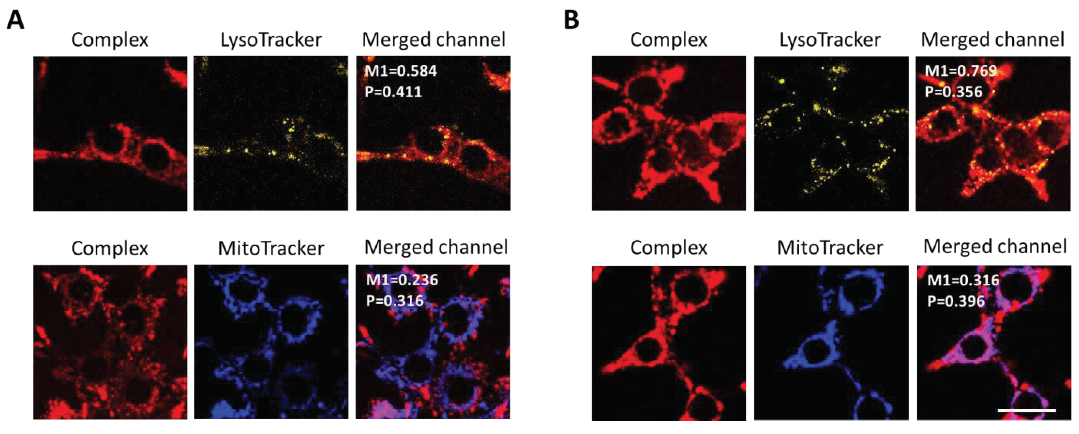 Preprints 73318 g007