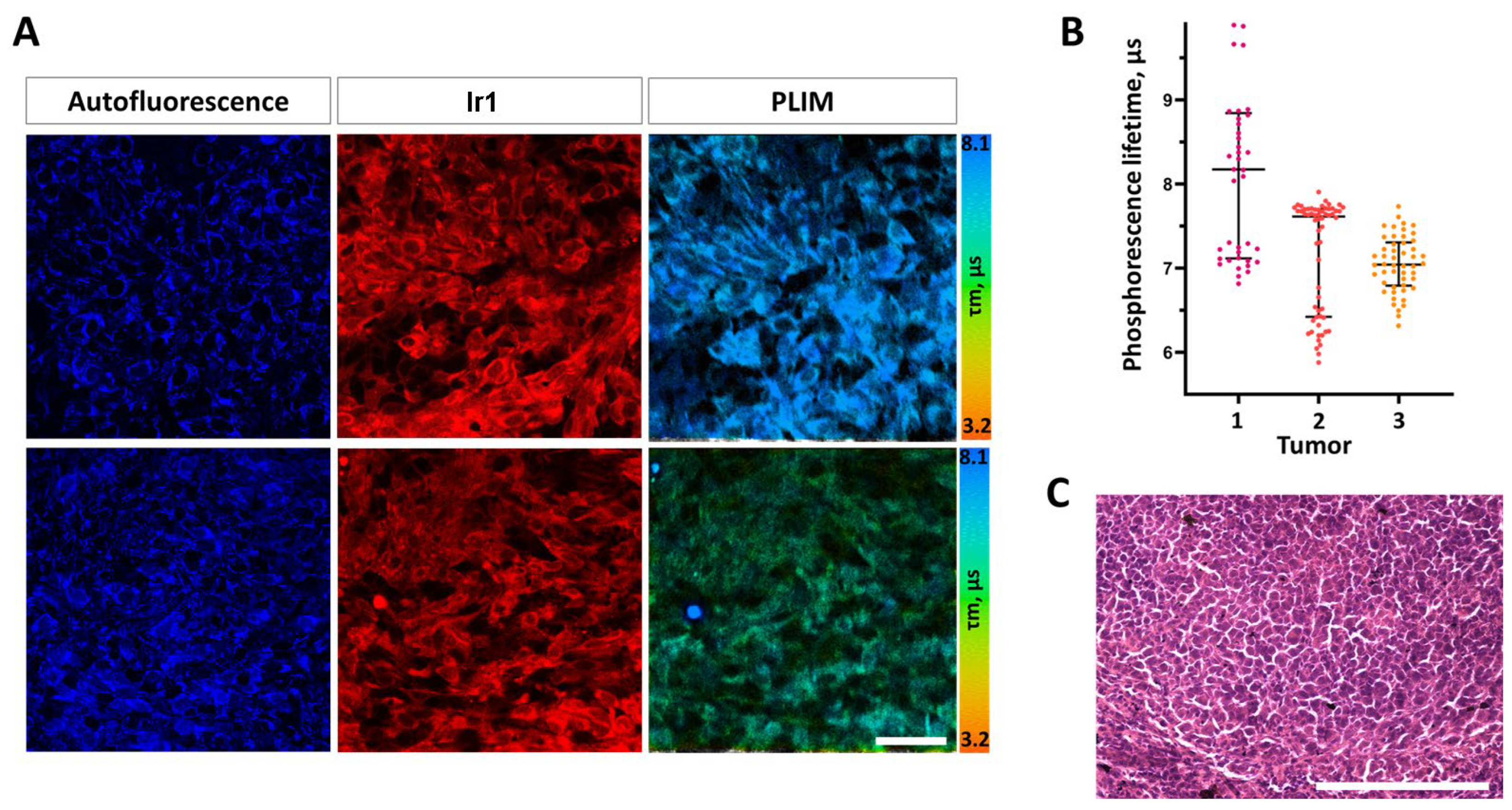 Preprints 73318 g009