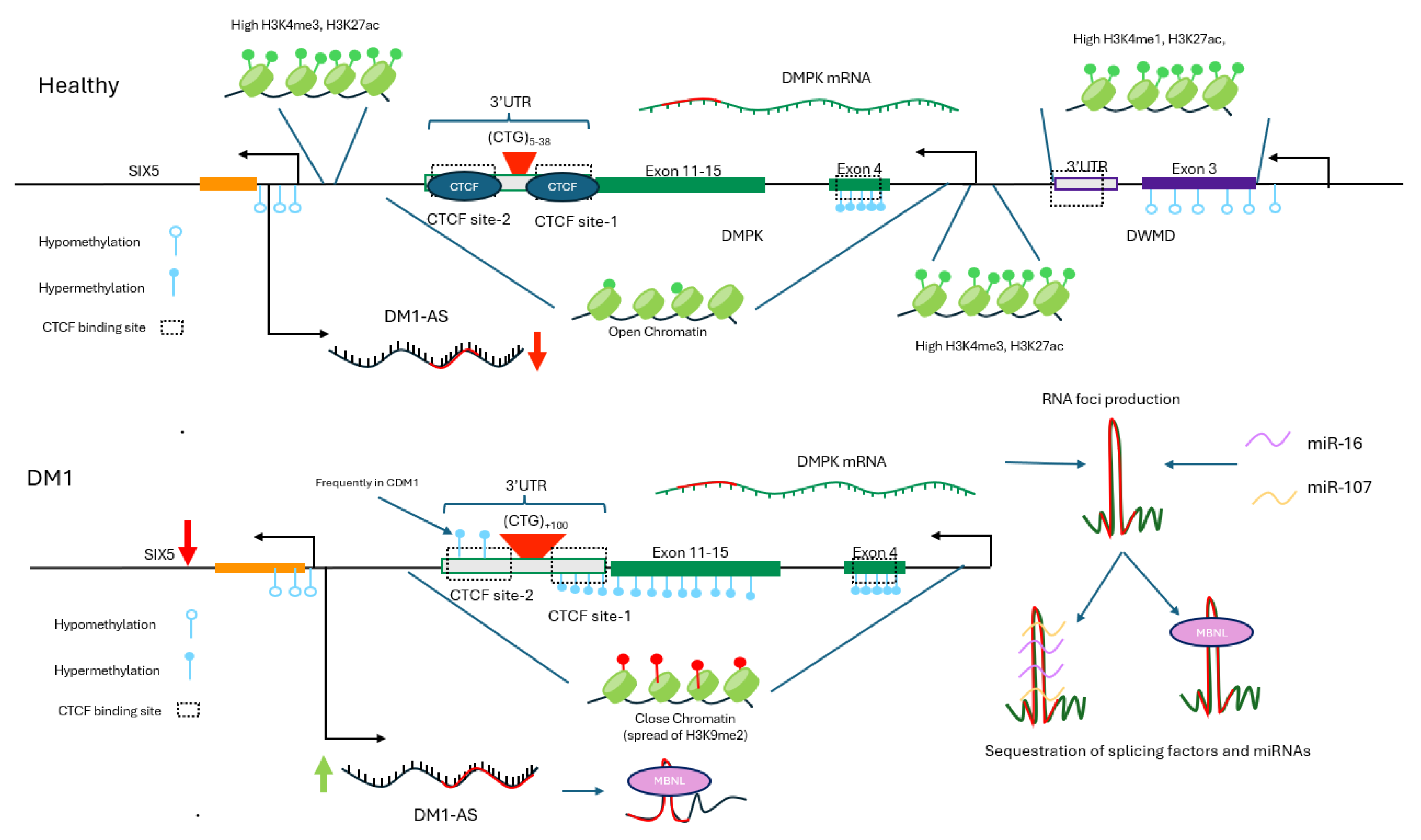 Preprints 174567 g002