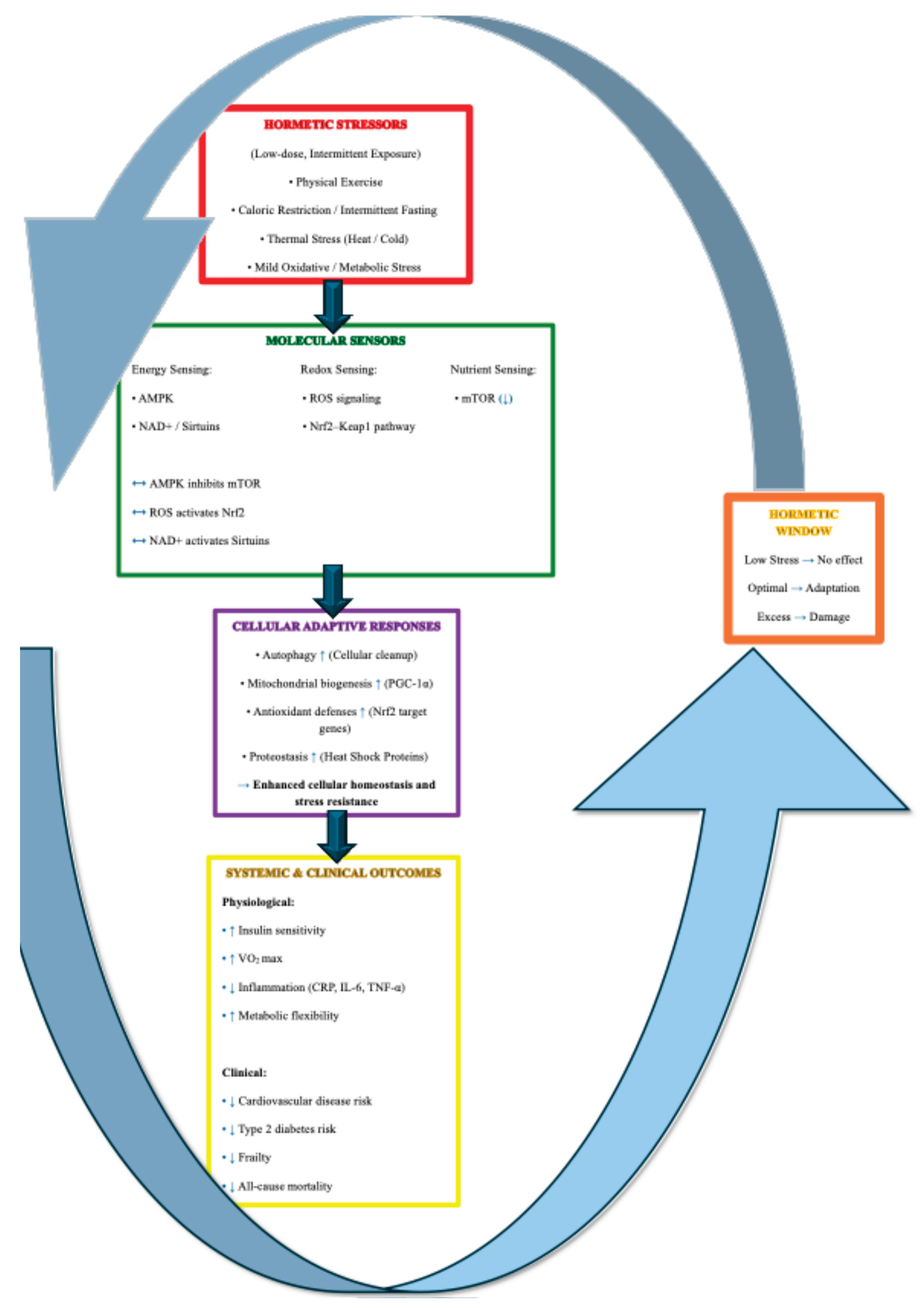 Preprints 209056 g002