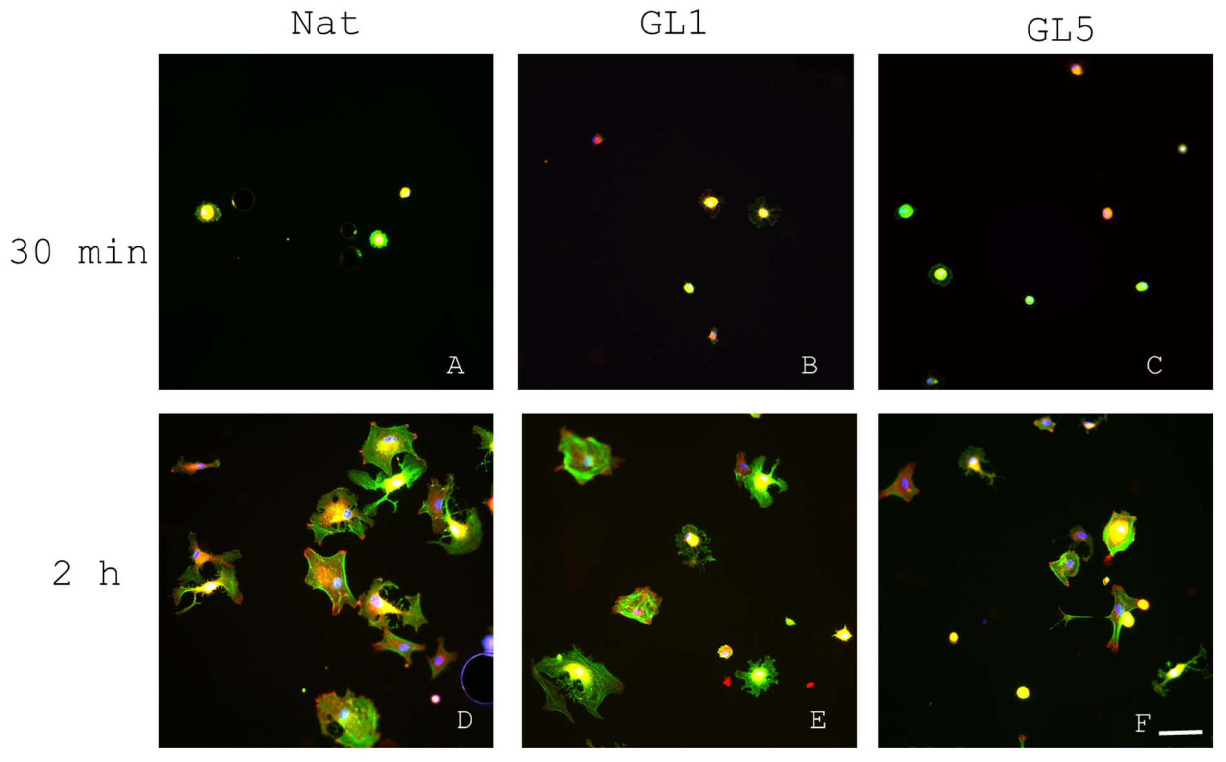 Preprints 183838 g001