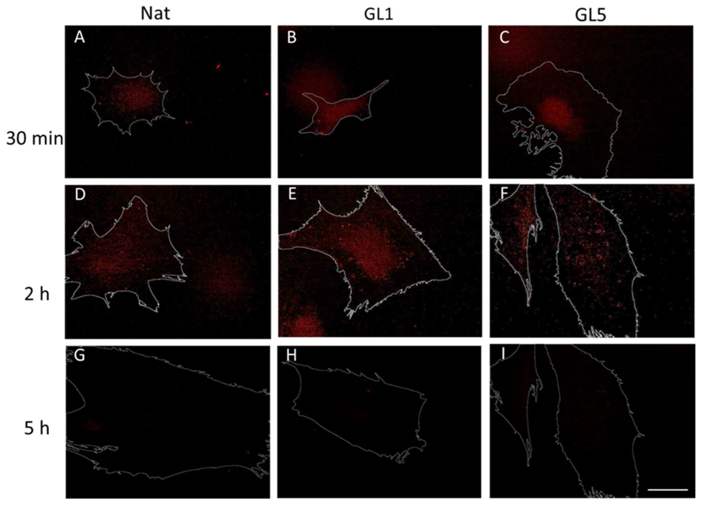 Preprints 183838 g003