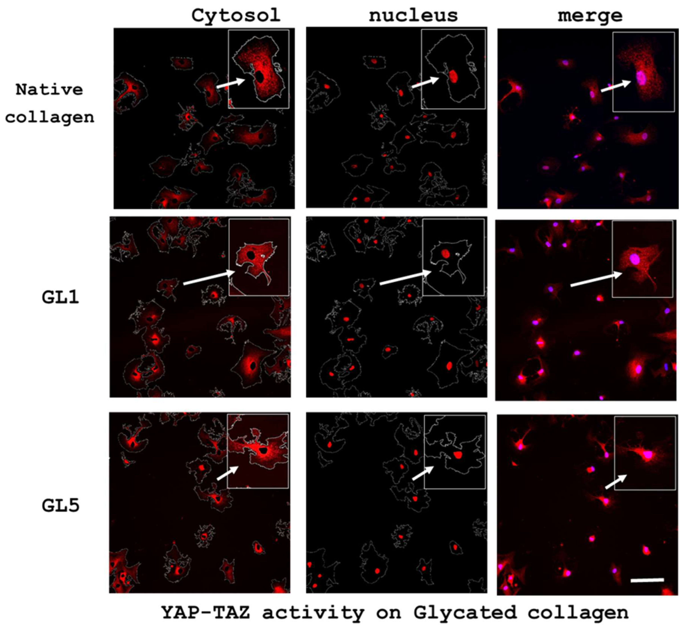 Preprints 183838 g006