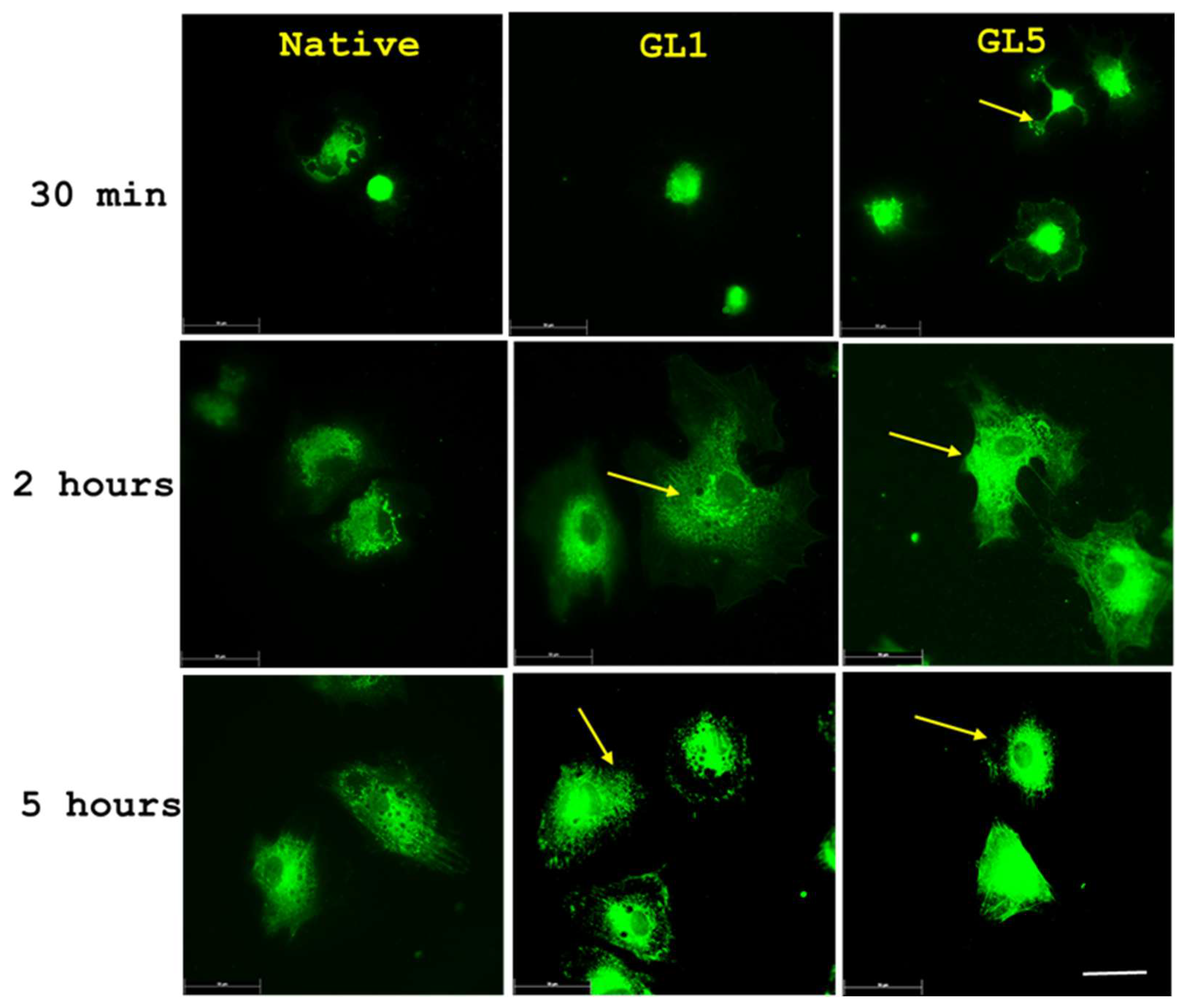 Preprints 183838 g008