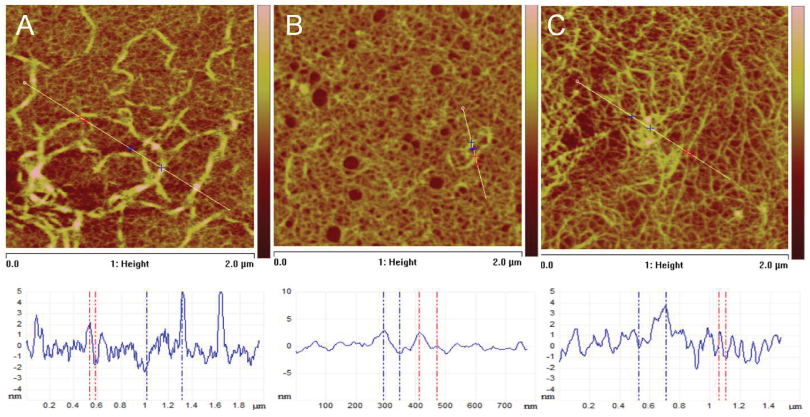 Preprints 183838 g010