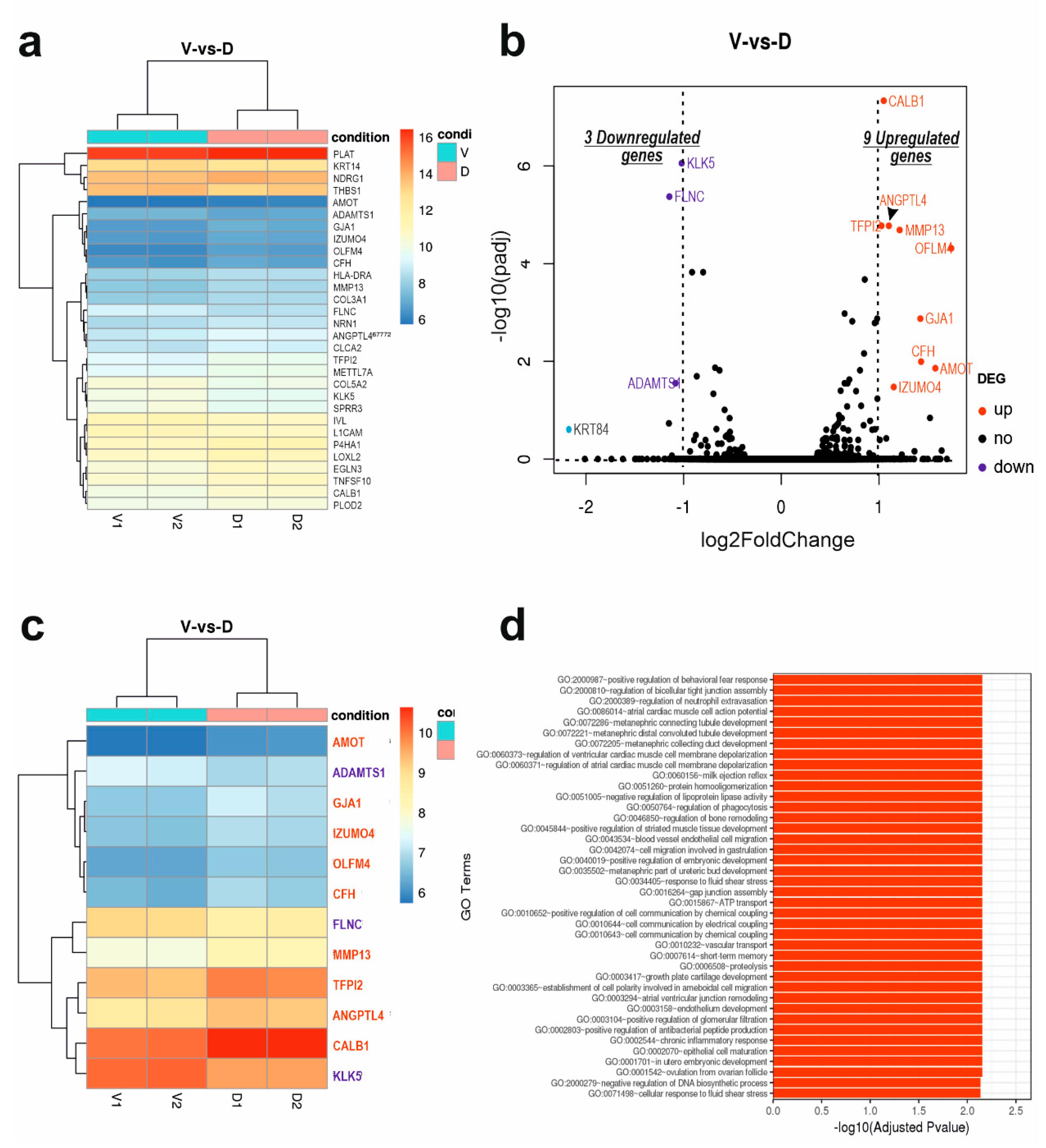 Preprints 85878 g001