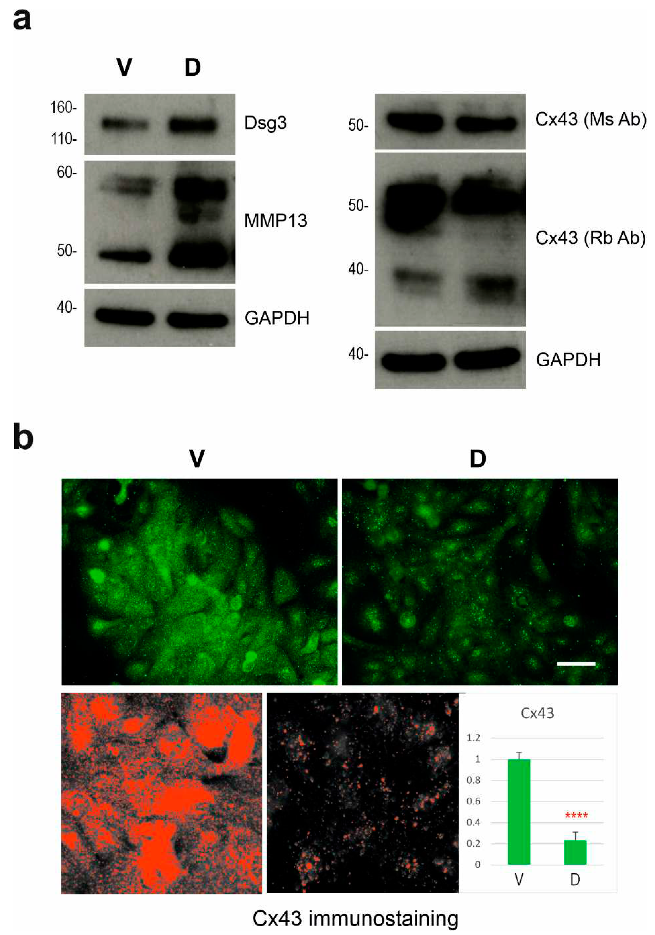 Preprints 85878 g005