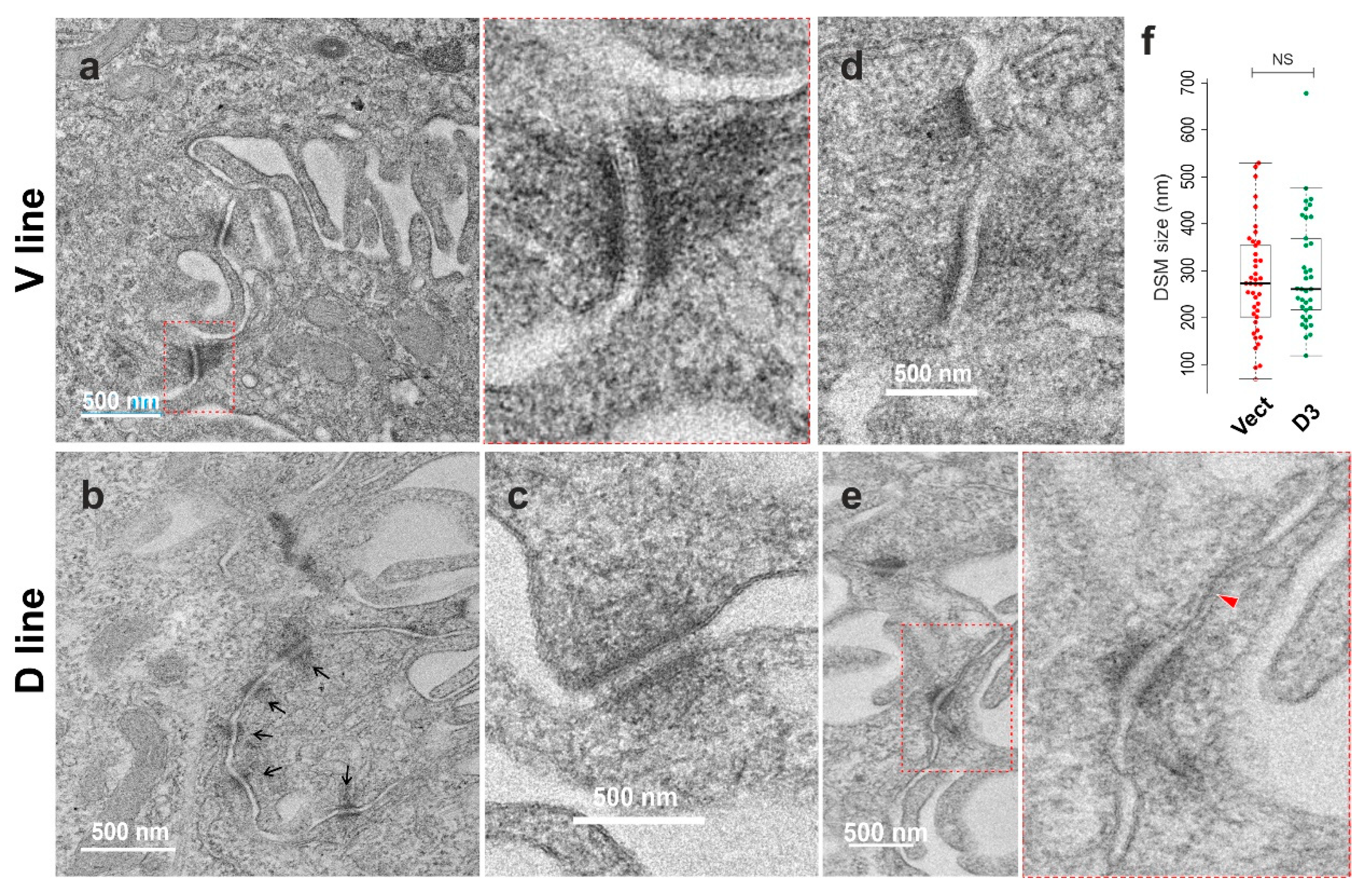 Preprints 85878 g006