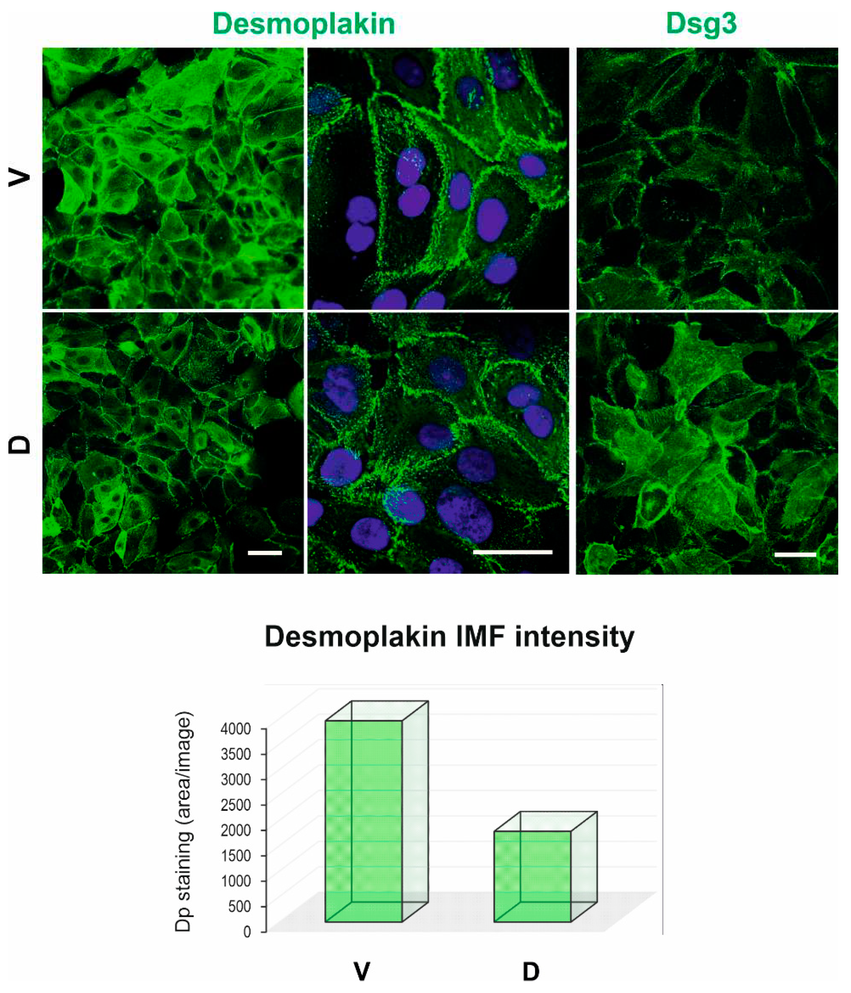 Preprints 85878 g007