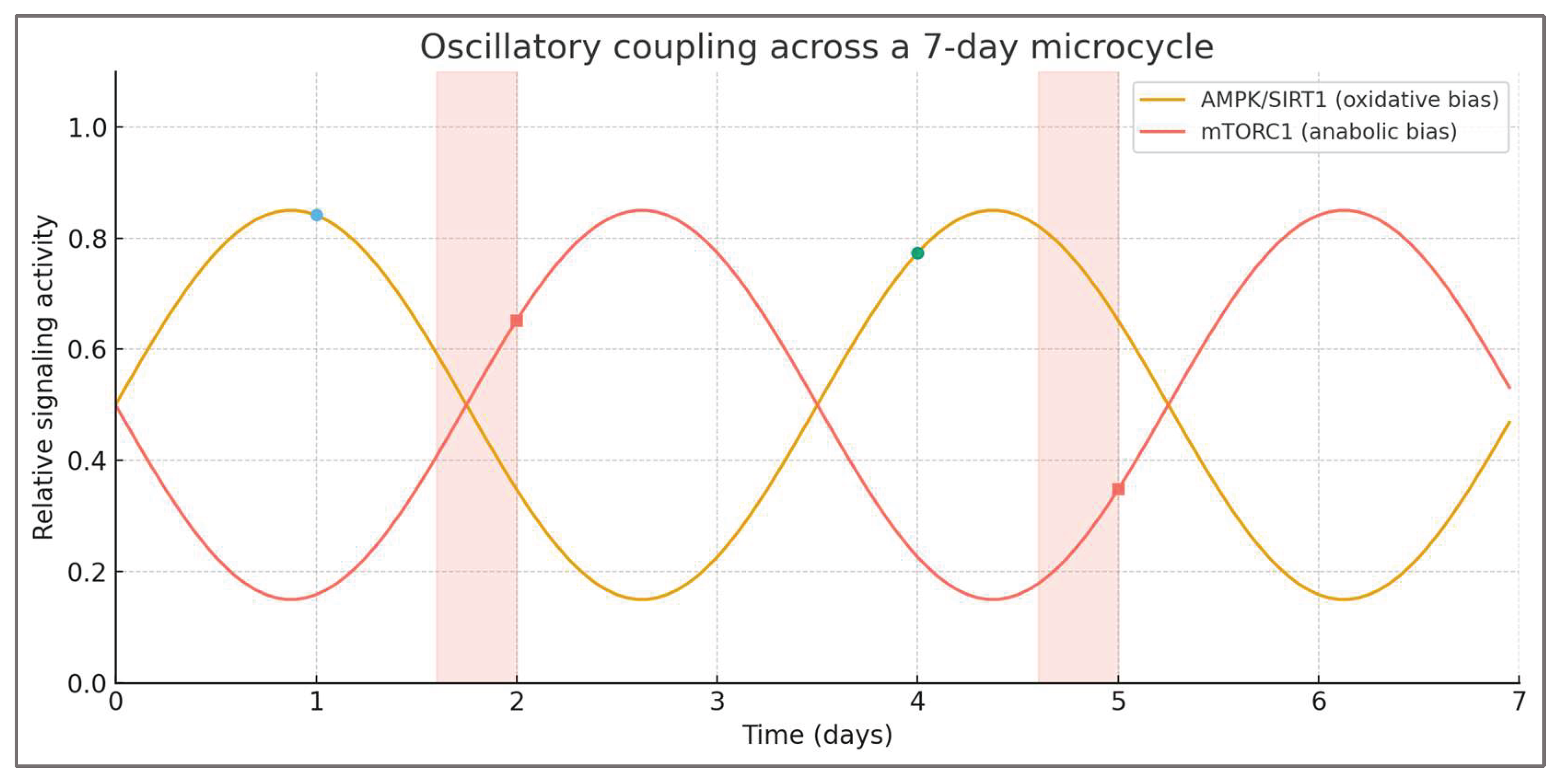 Preprints 196345 g005
