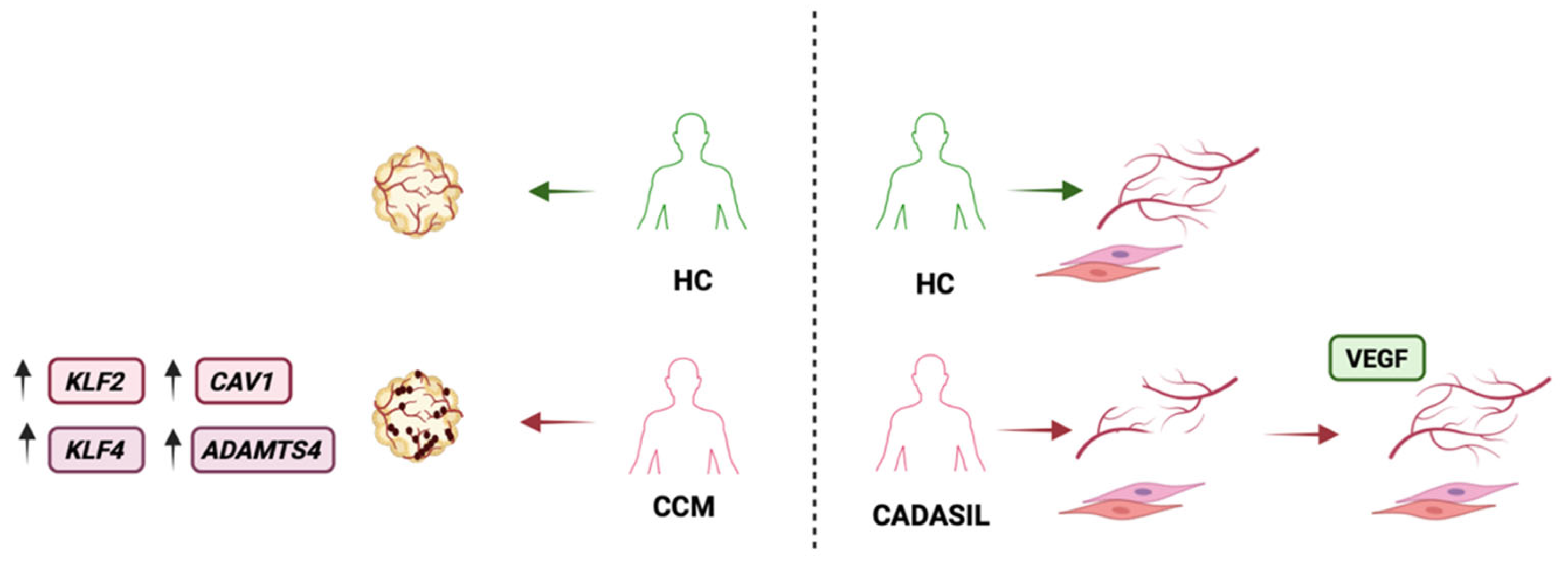 Preprints 191696 g002