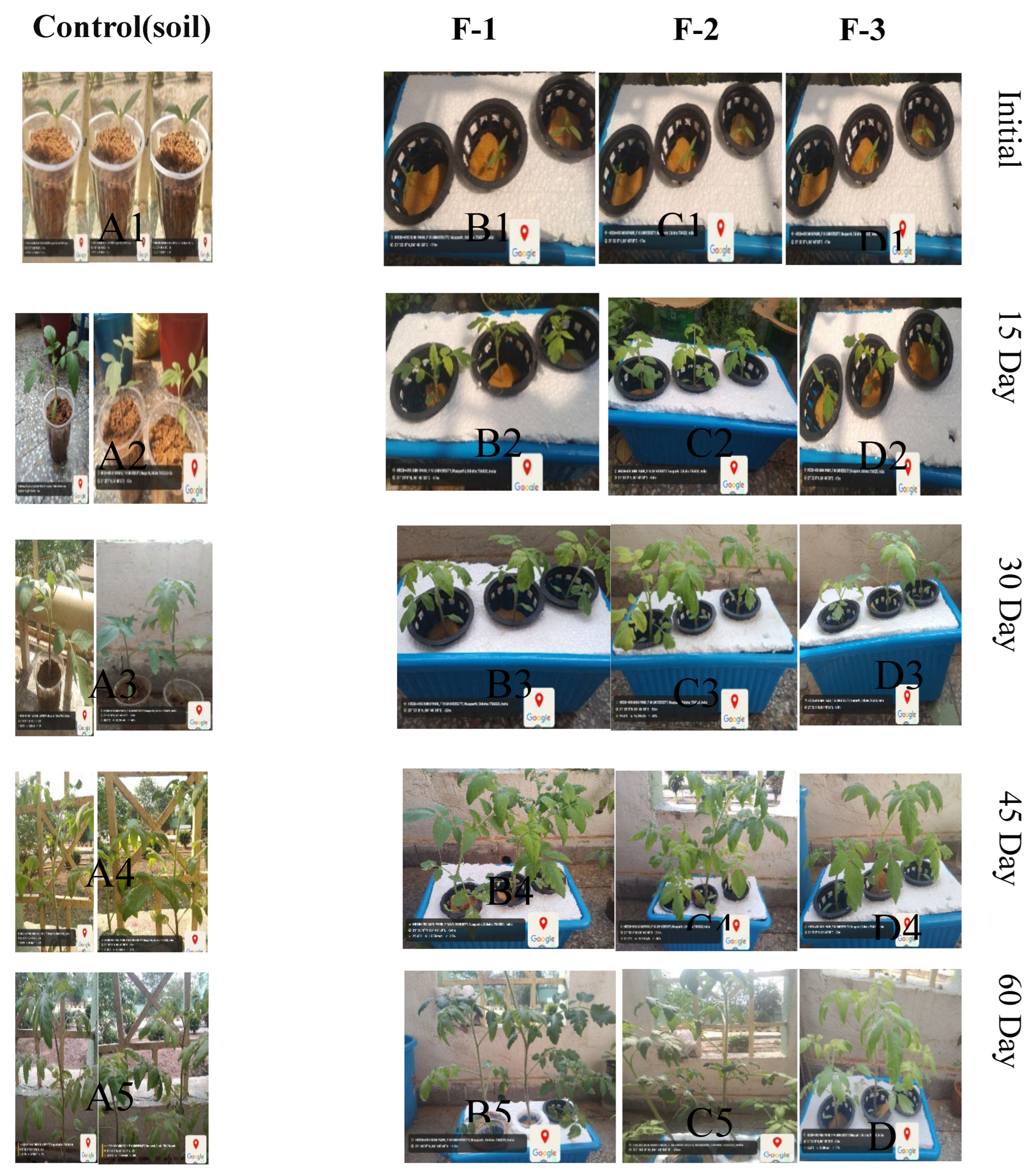 Preprints 159698 g007