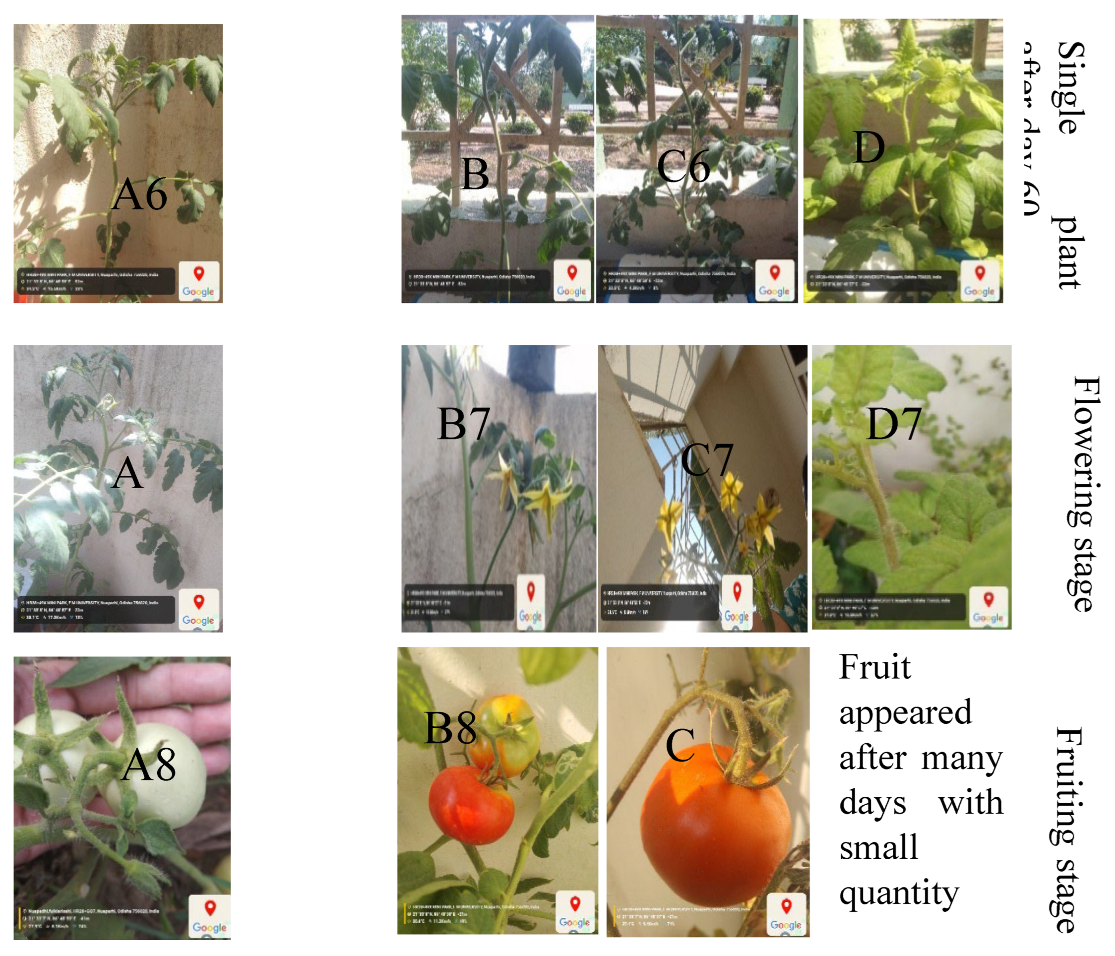 Preprints 159698 g008