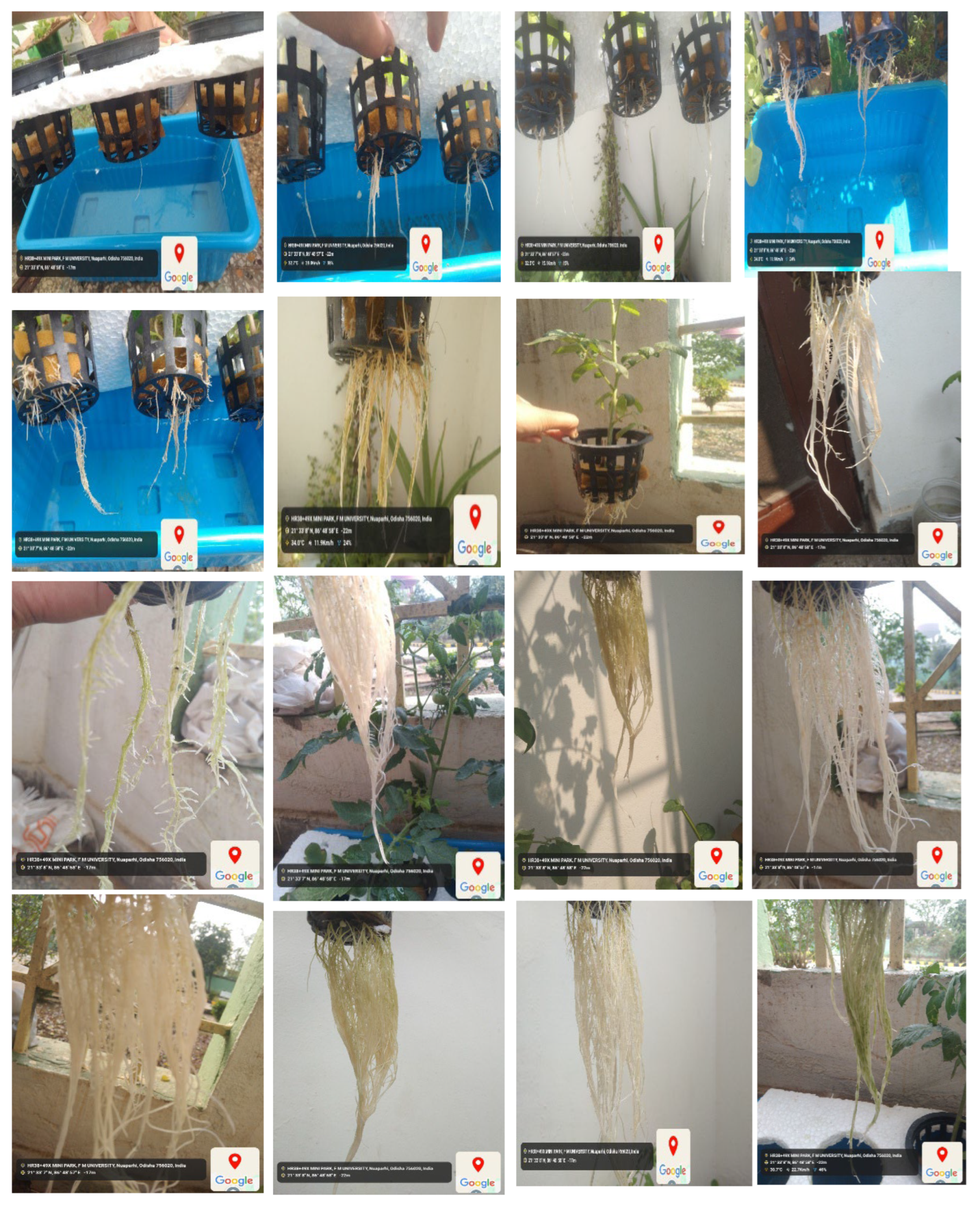 Preprints 159698 g009