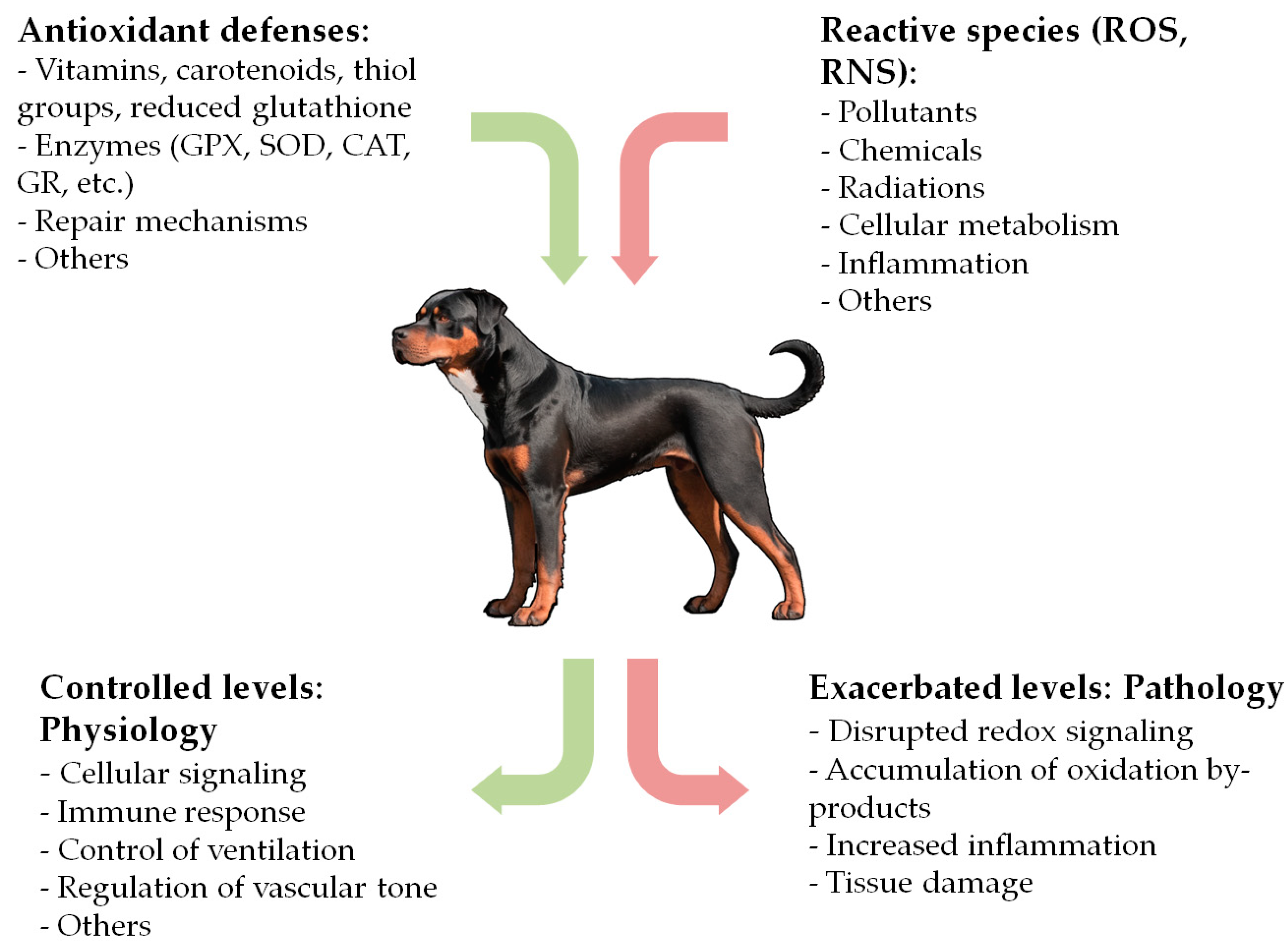 Preprints 121138 g001