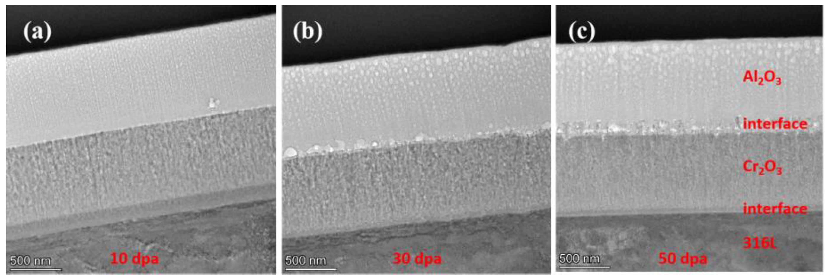 Preprints 121202 g004