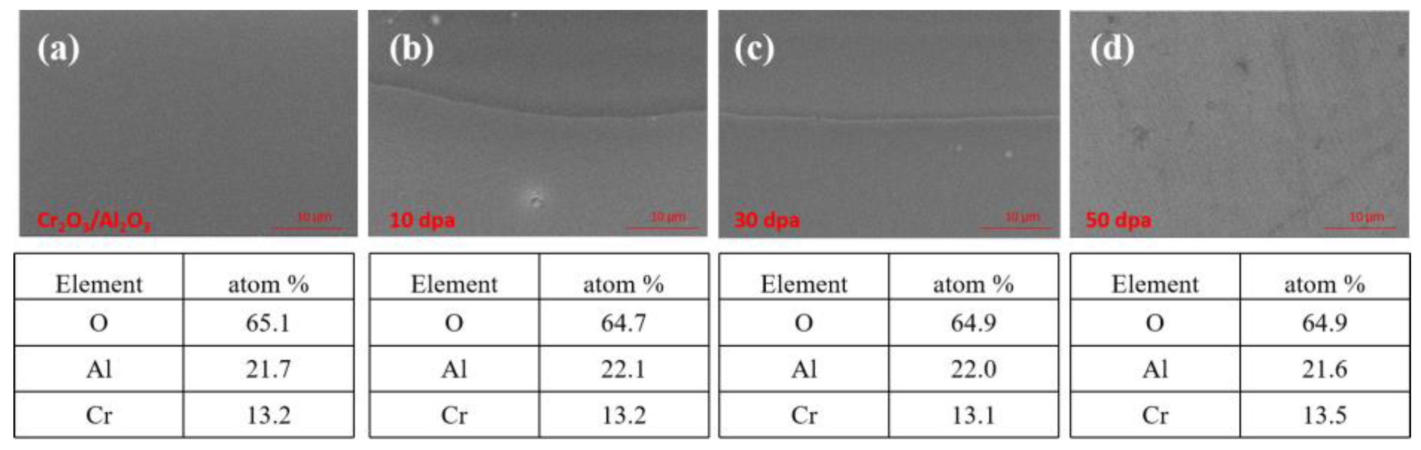 Preprints 121202 g005