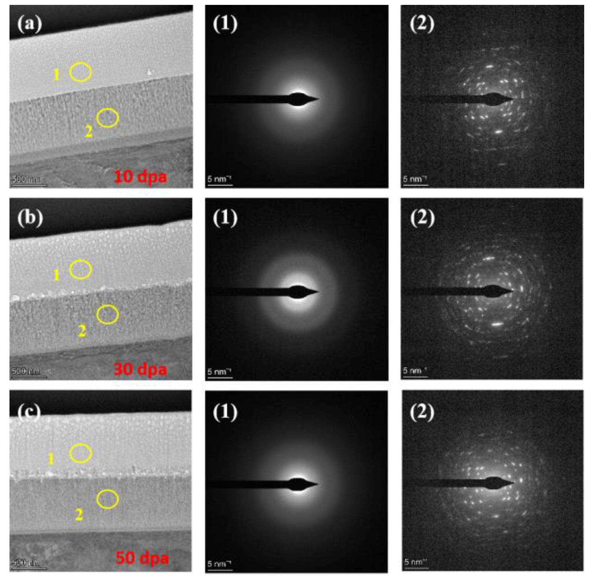 Preprints 121202 g007