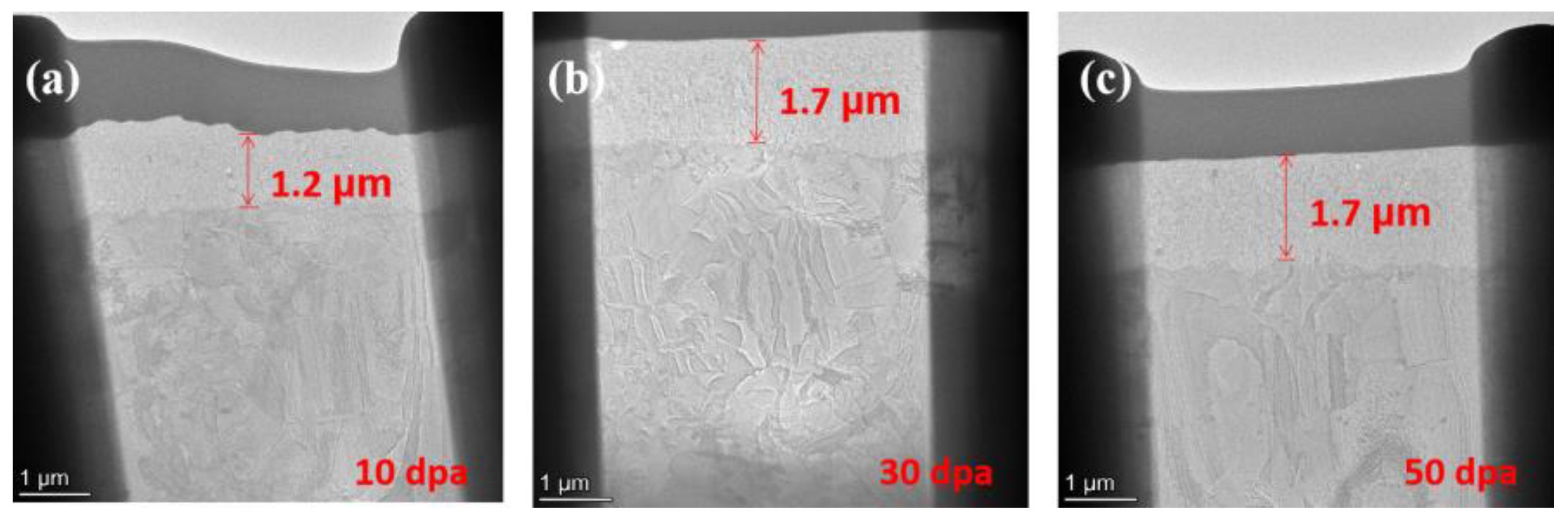 Preprints 121202 g009