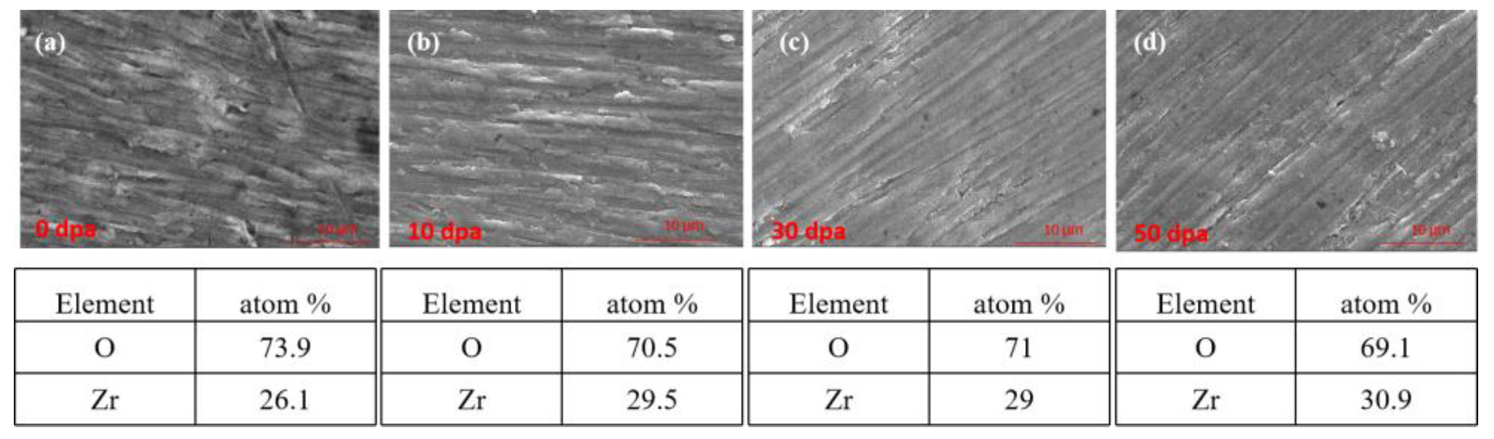 Preprints 121202 g010