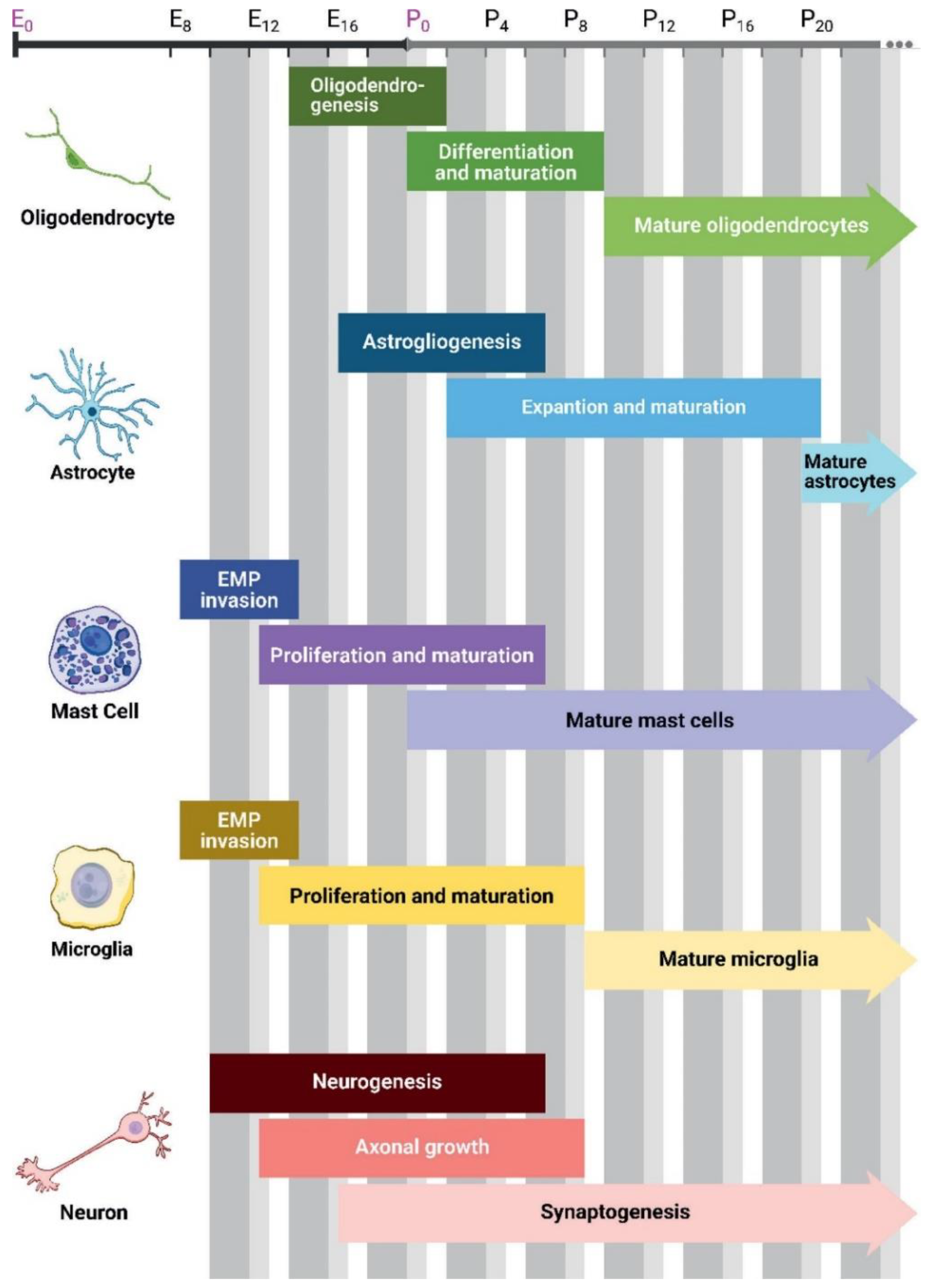 Preprints 187907 g002