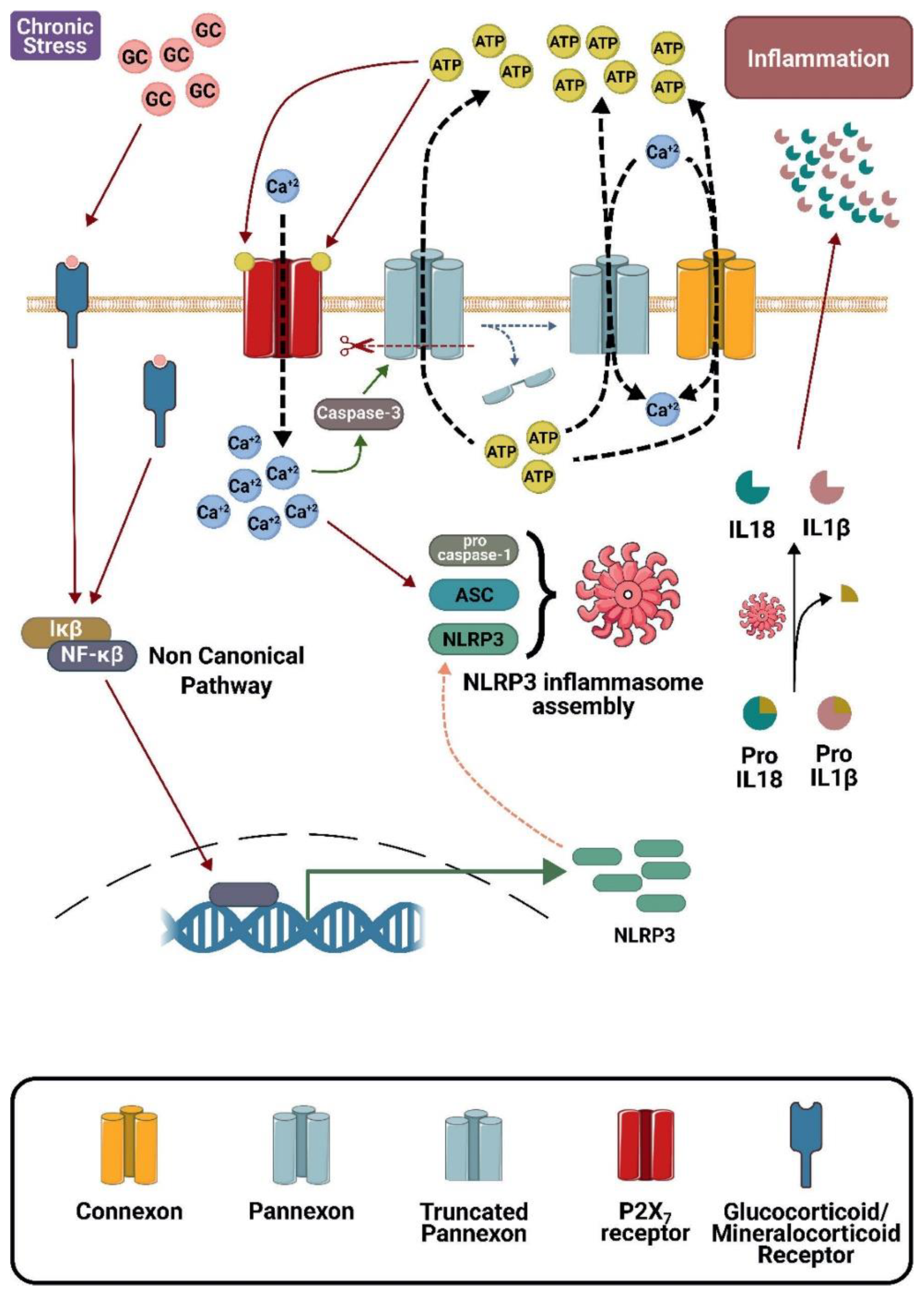Preprints 187907 g003