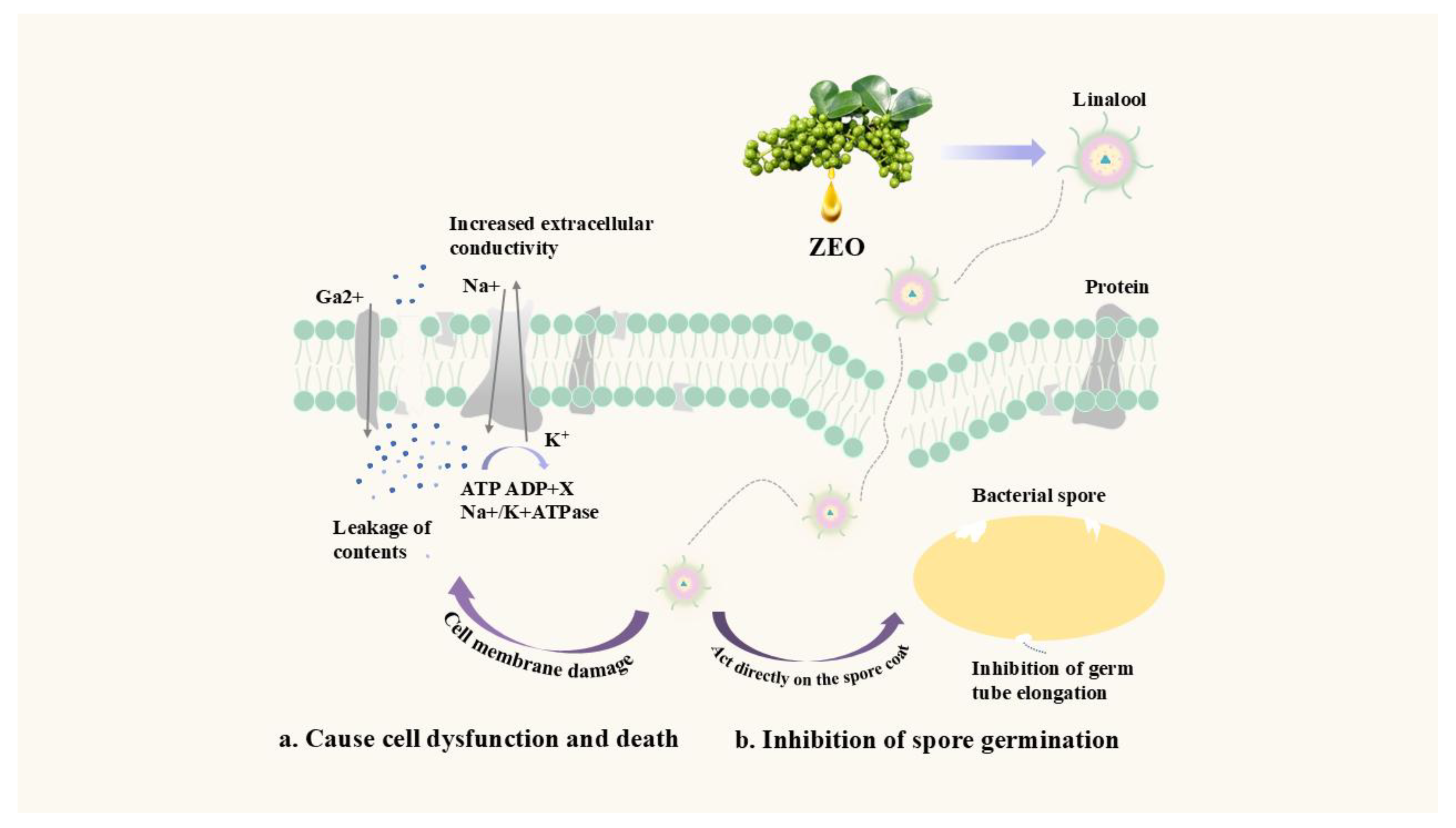 Preprints 196135 g003