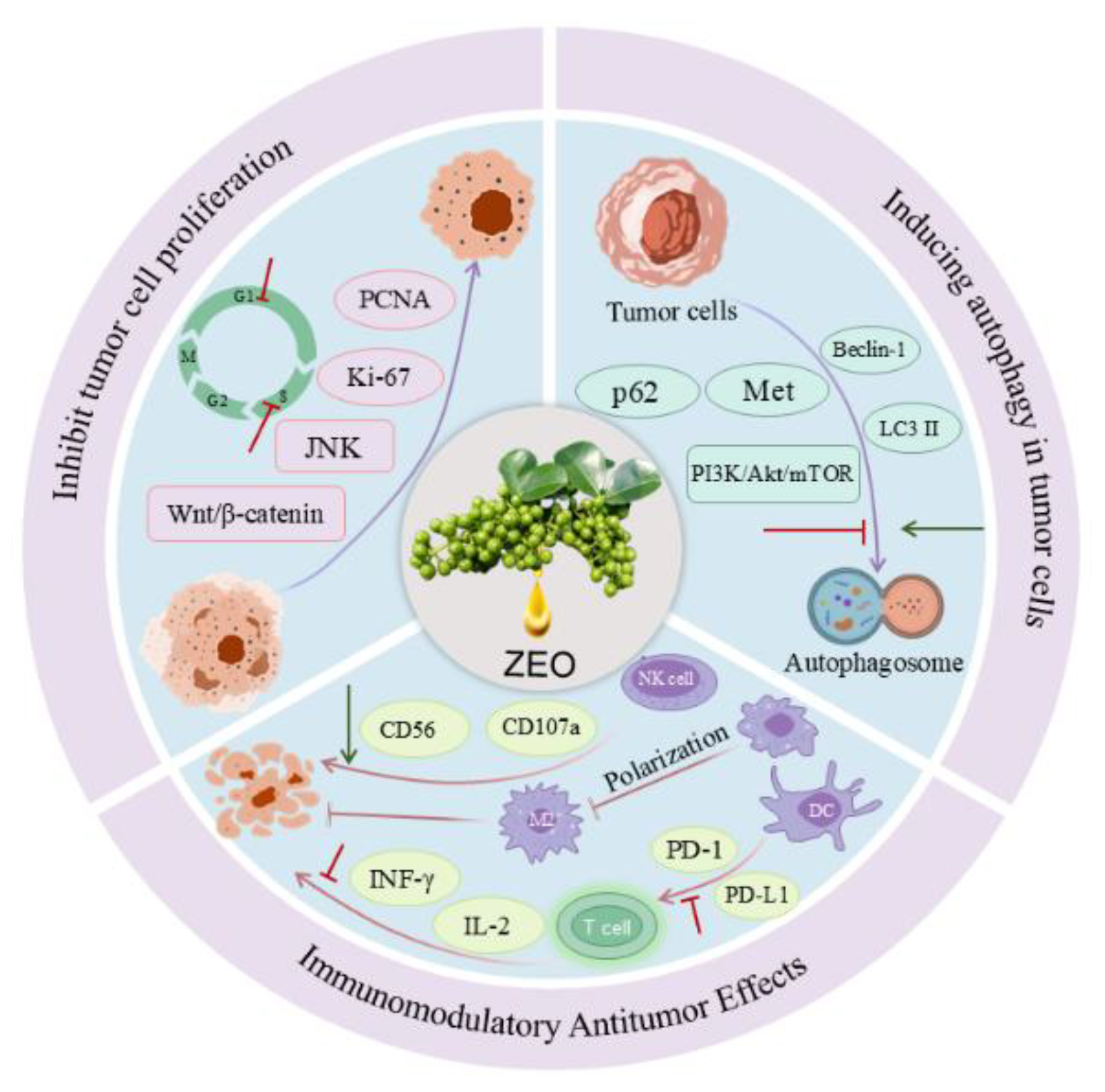 Preprints 196135 g004