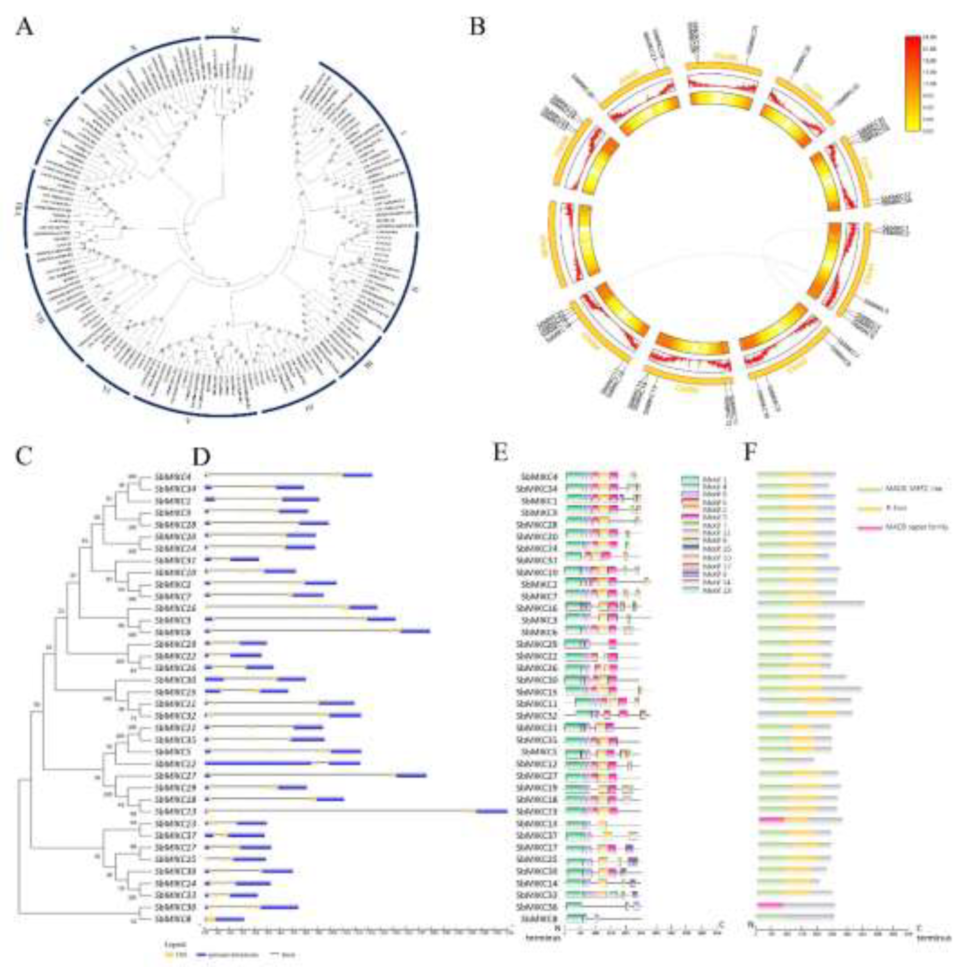 Preprints 198534 g001