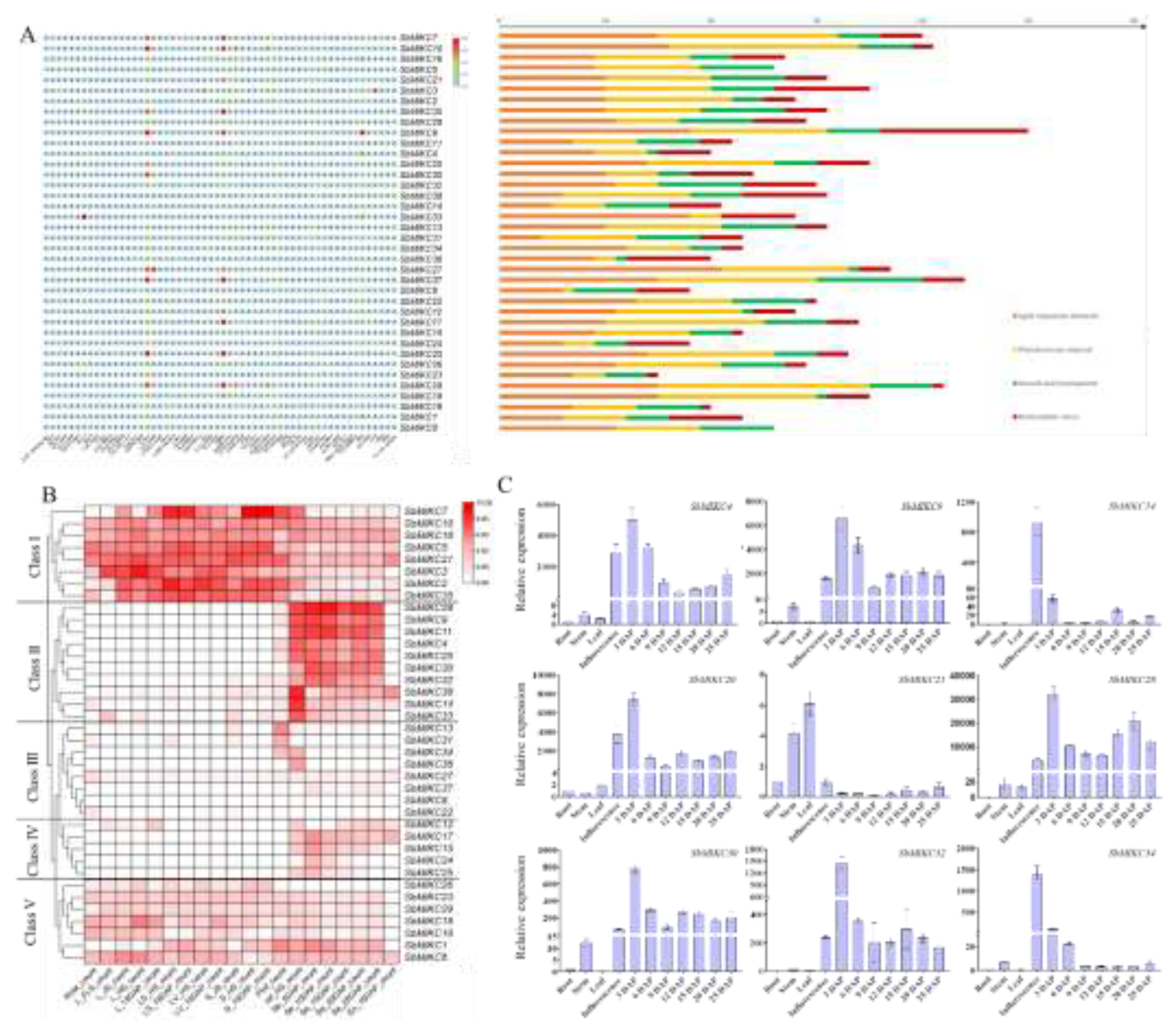 Preprints 198534 g002