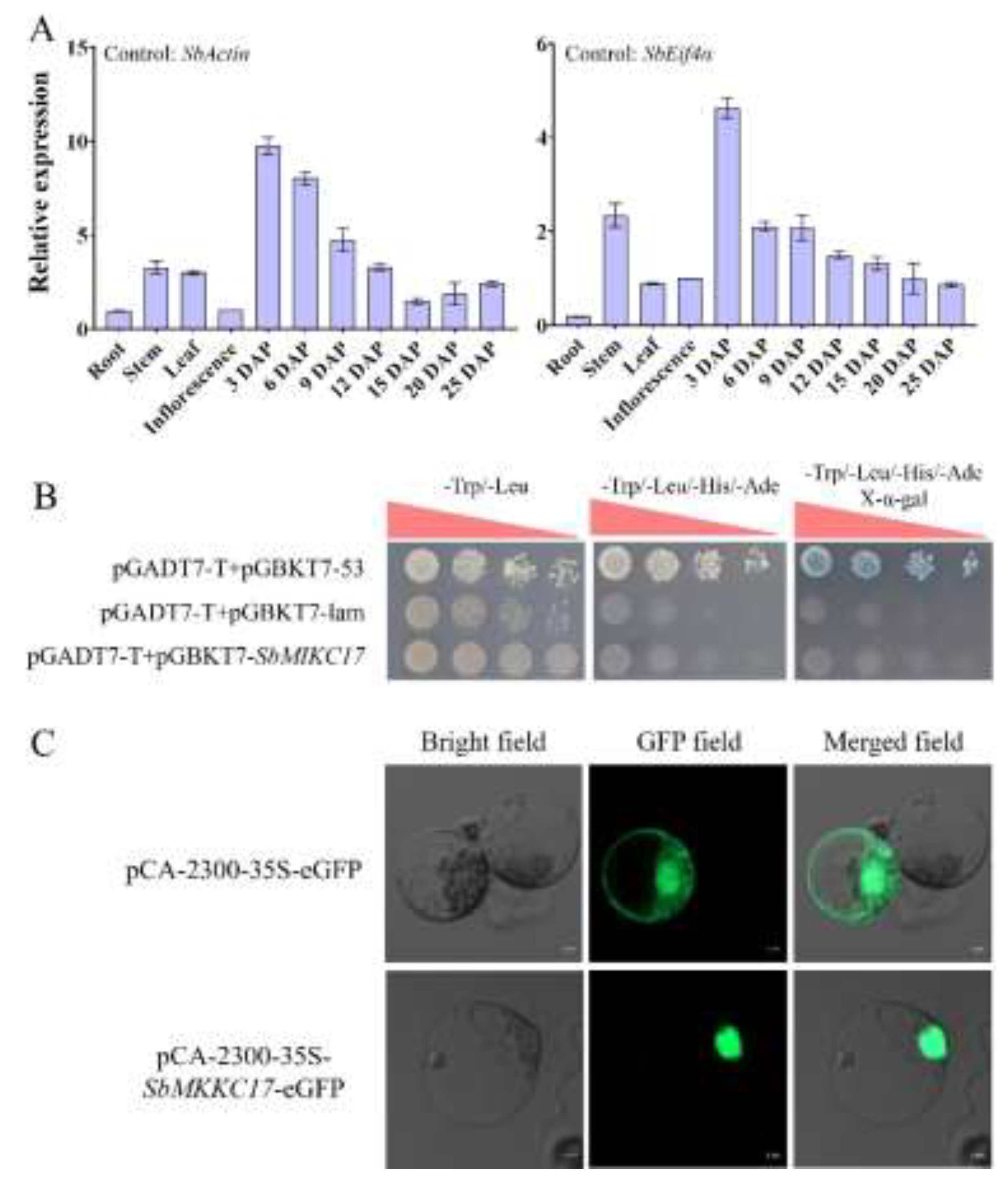 Preprints 198534 g003