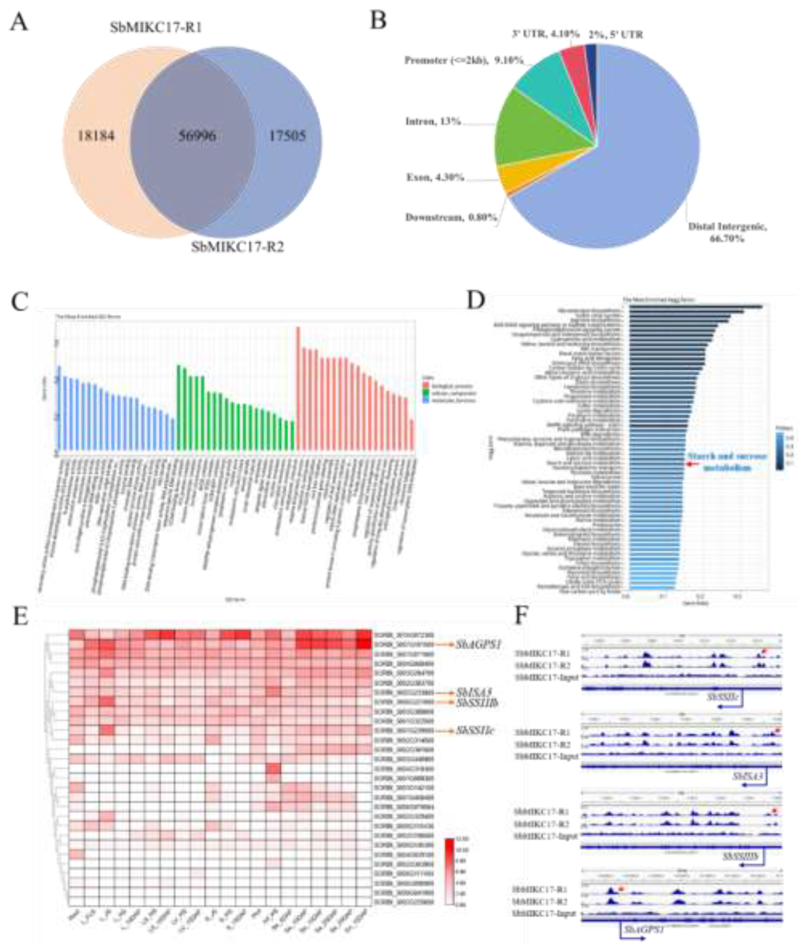 Preprints 198534 g004