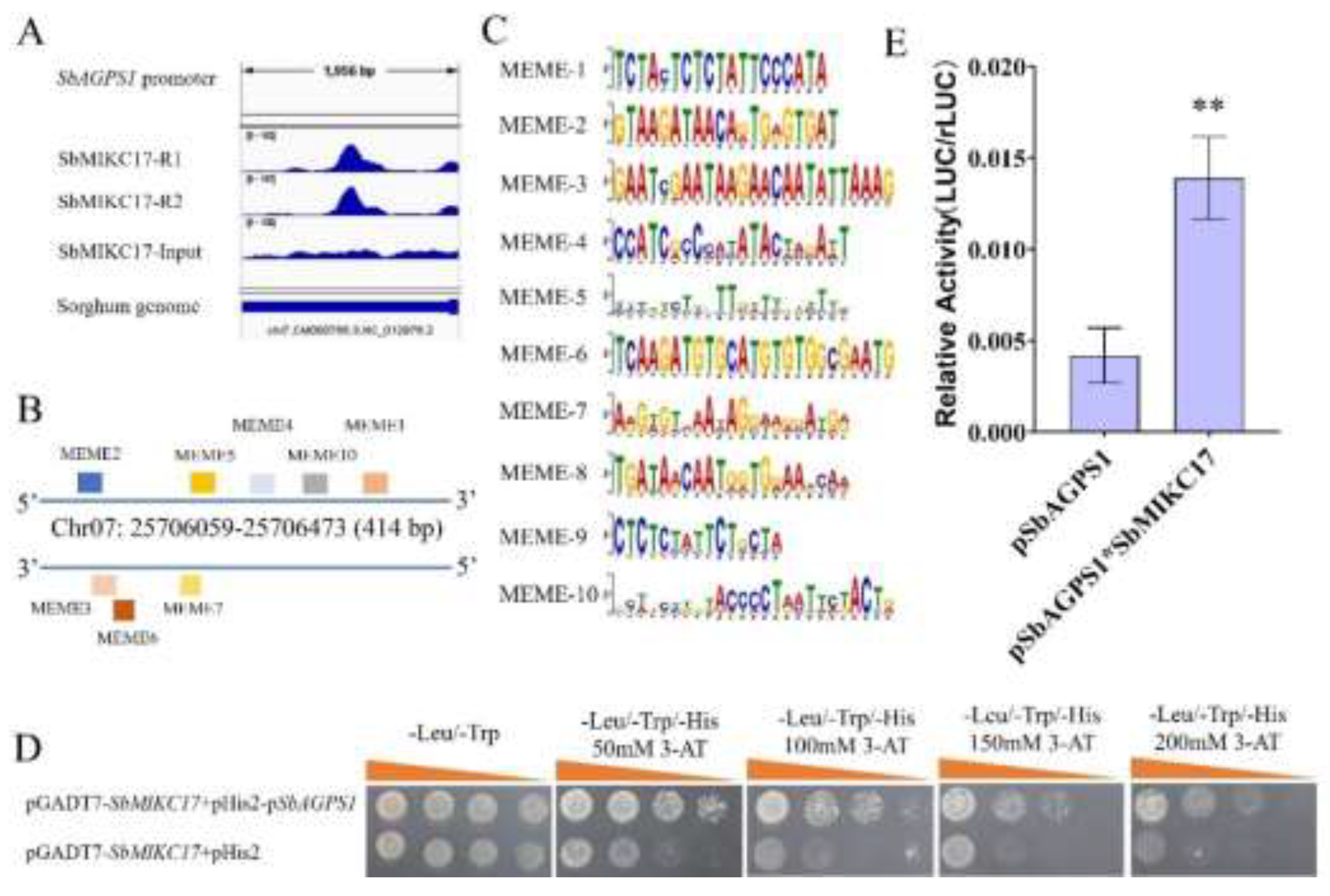 Preprints 198534 g005
