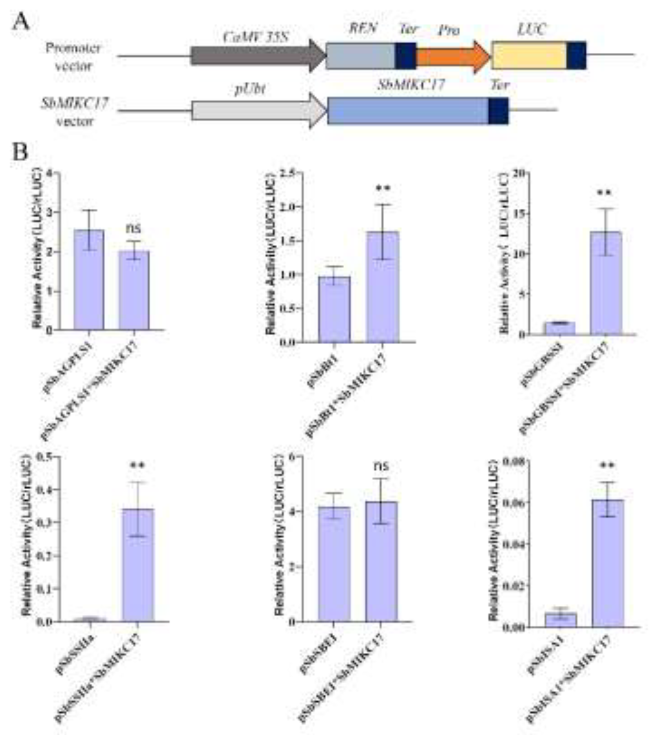 Preprints 198534 g006